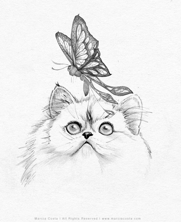 Cat - Pencil drawing