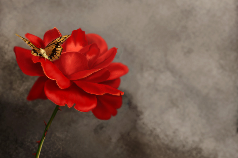 Rose - Photoshop painting
