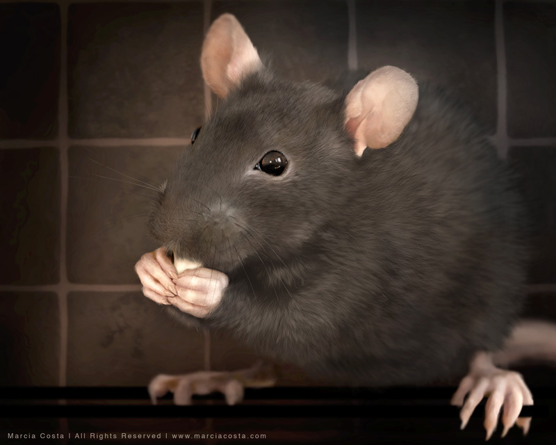 Little Thief - Photoshop painting