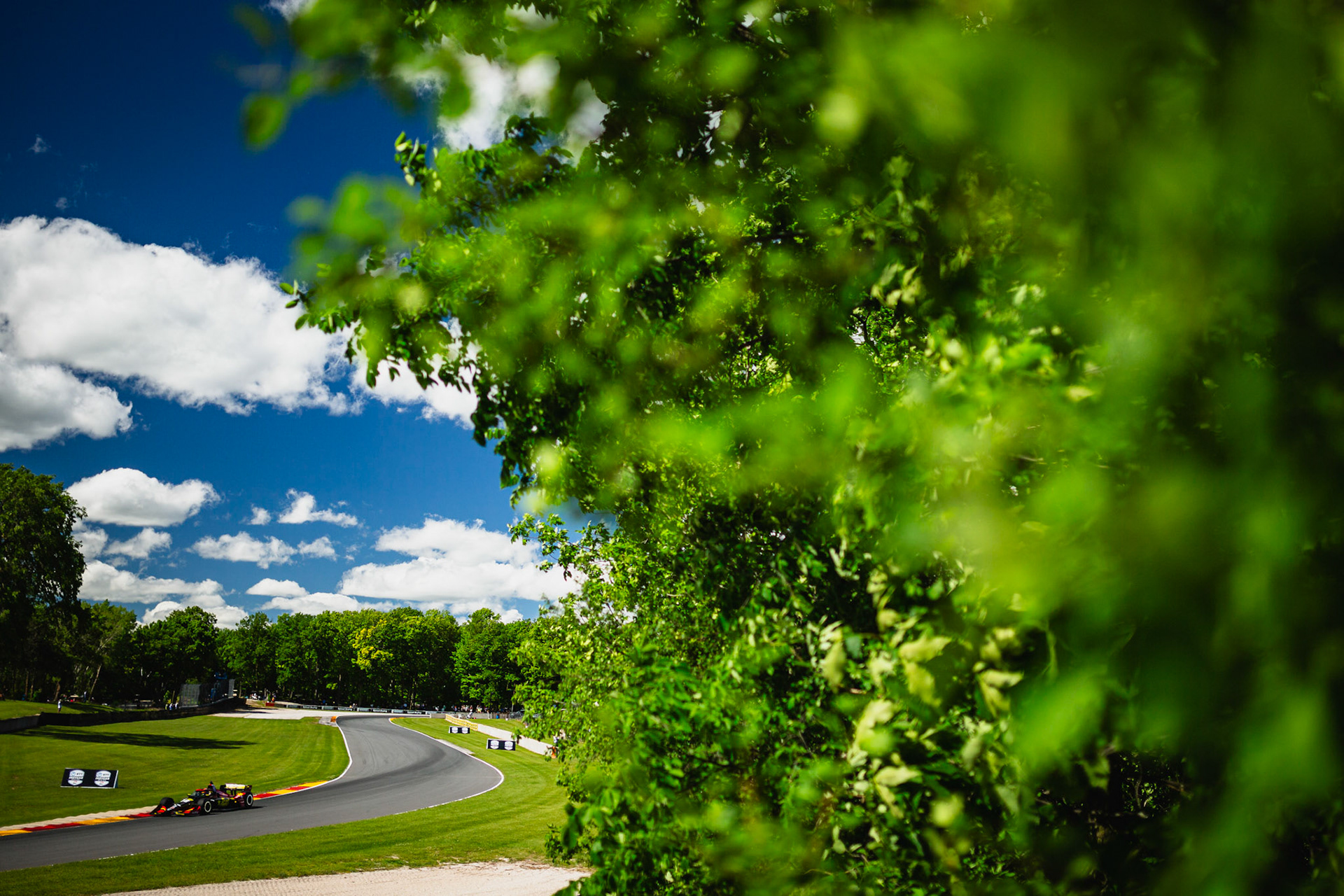 #30: Pietro Fittipaldi, Rahal Letterman Lanigan Racing Honda