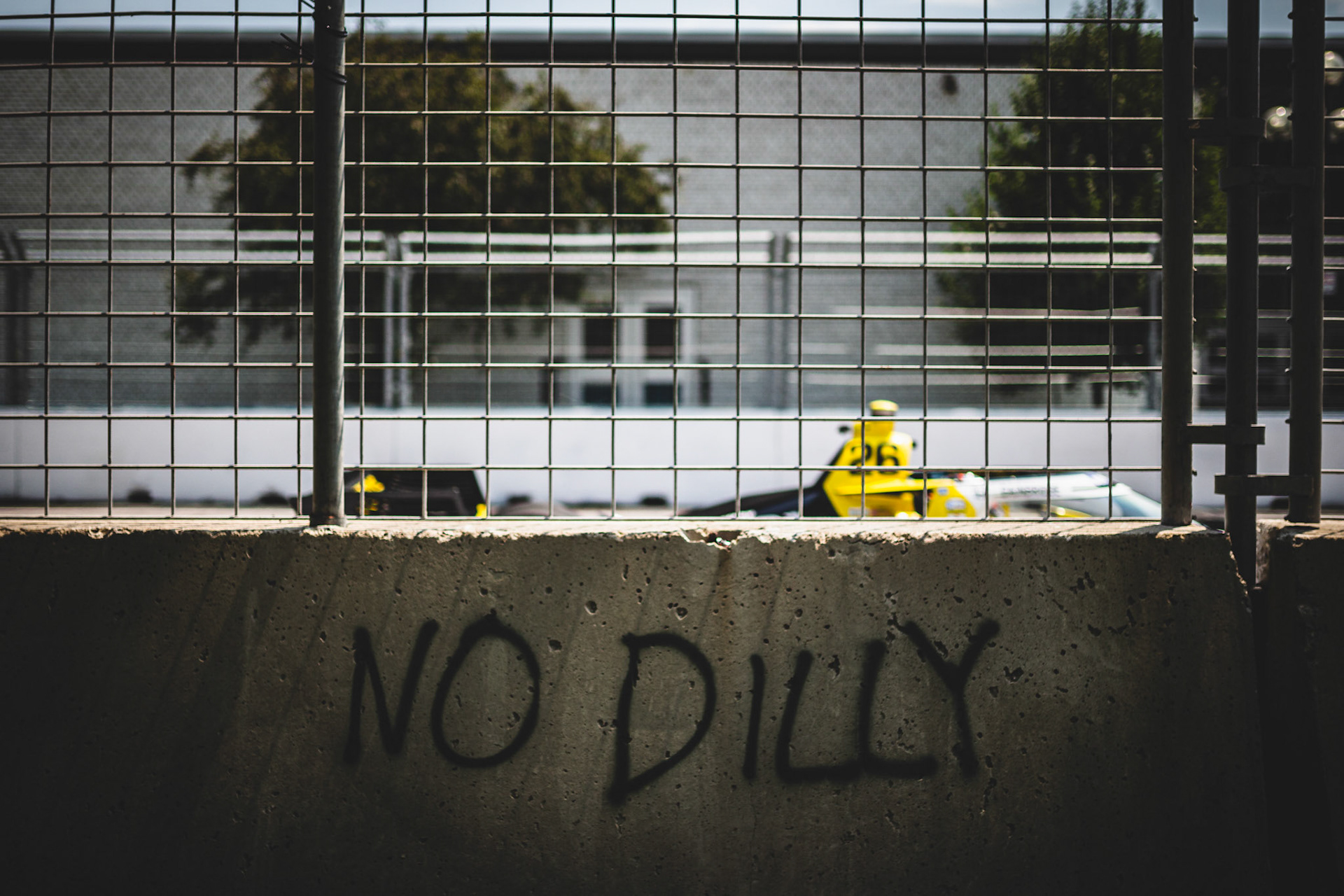 #26: Colton Herta, Andretti Autosport Honda