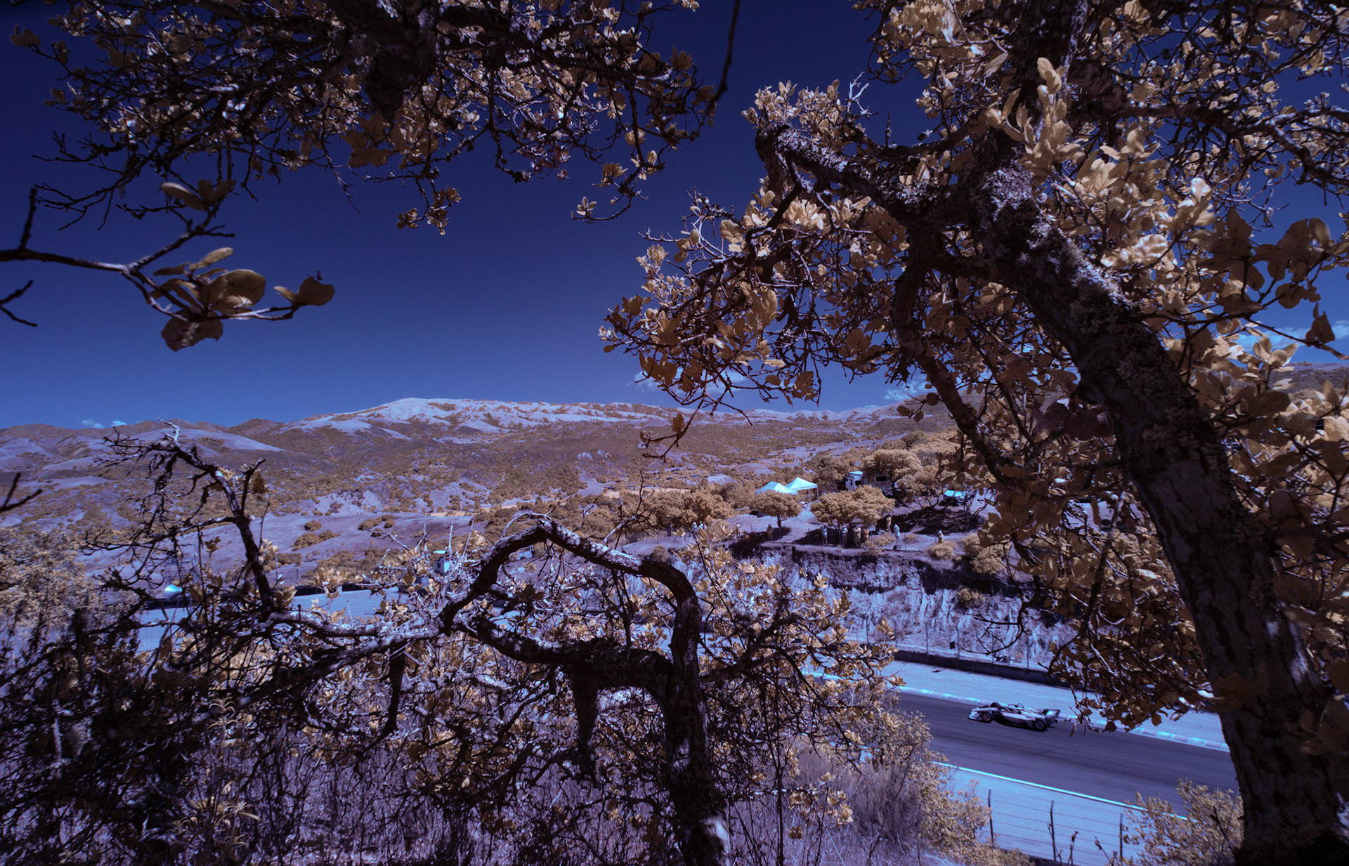 NTT Indycar Series Java House Grand Prix of Monterey ©2025 Logan Whitton / Stillhouse