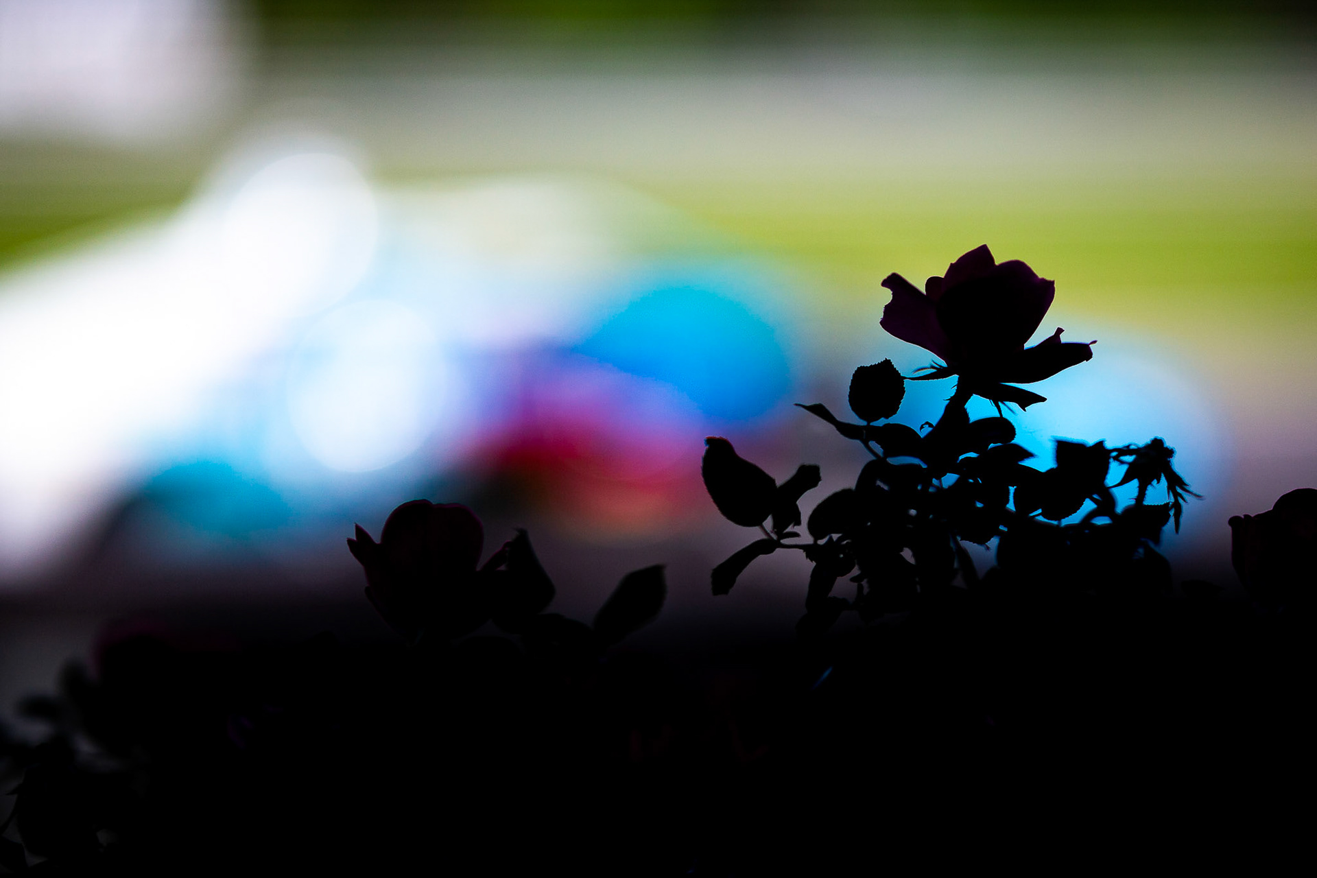 #2: Josef Newgarden, Team Penske Chevrolet