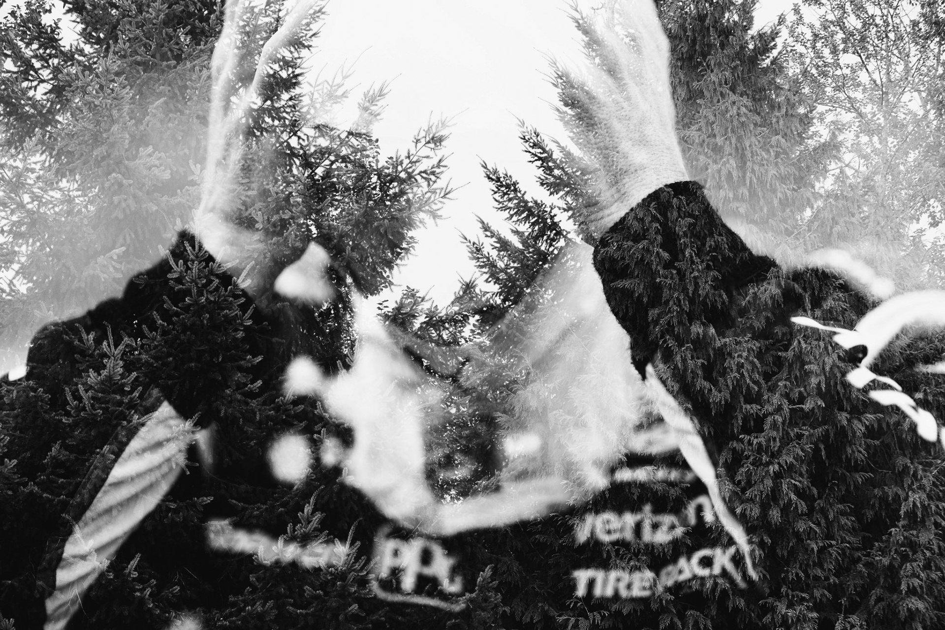 #2: Josef Newgarden, Team Penske Chevrolet