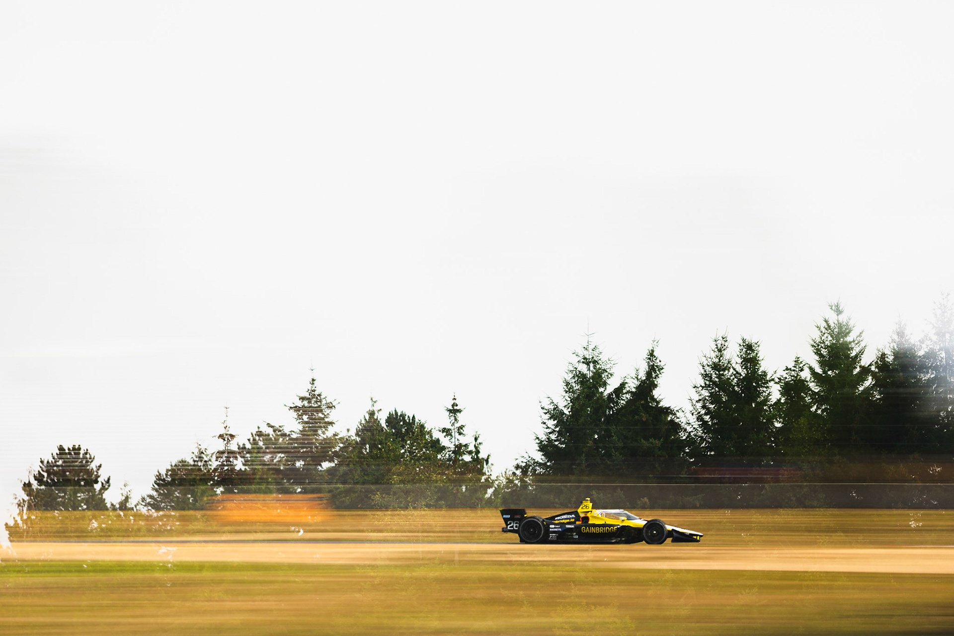 #26: Colton Herta, Andretti Autosport Honda