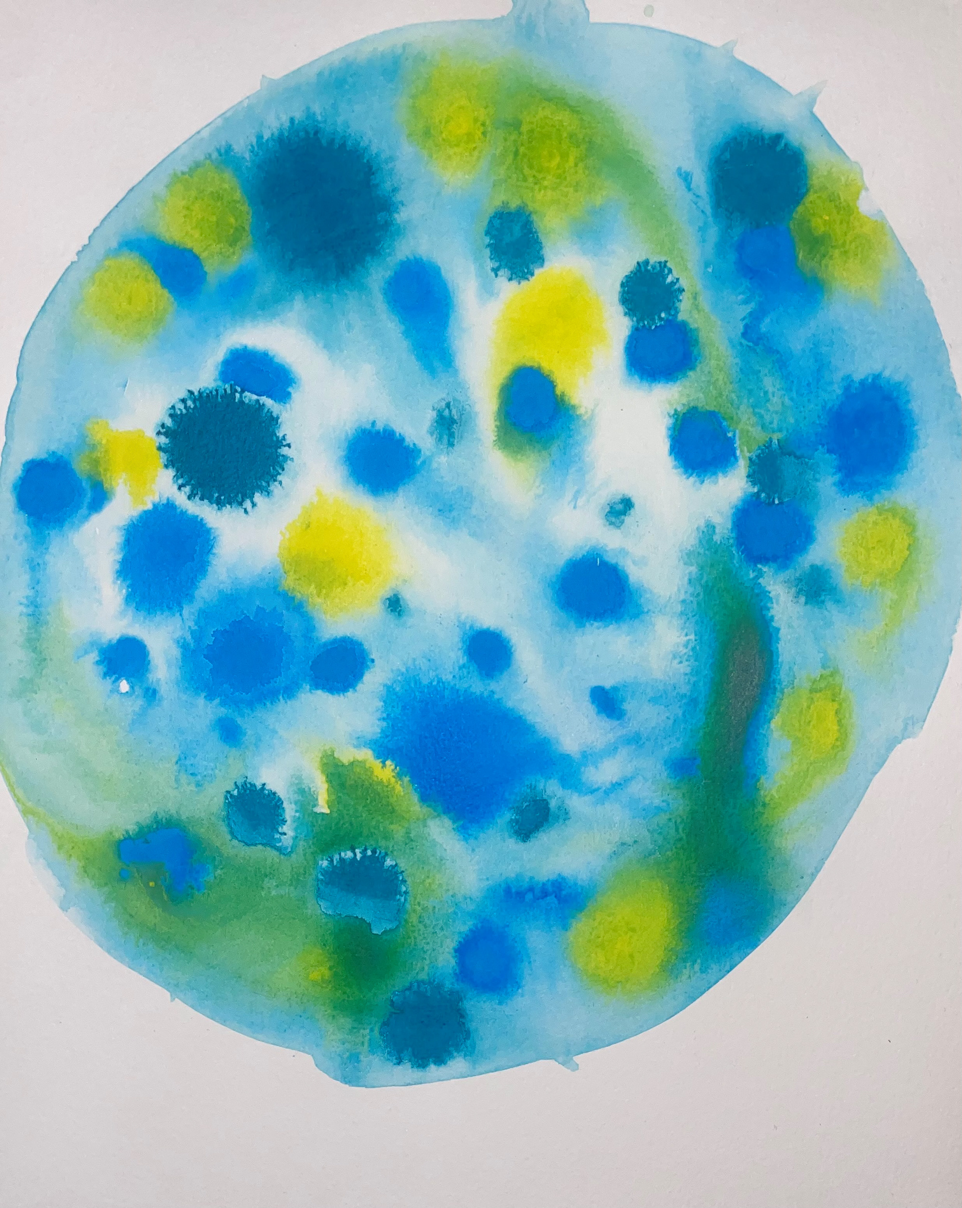 'Agar plate' 