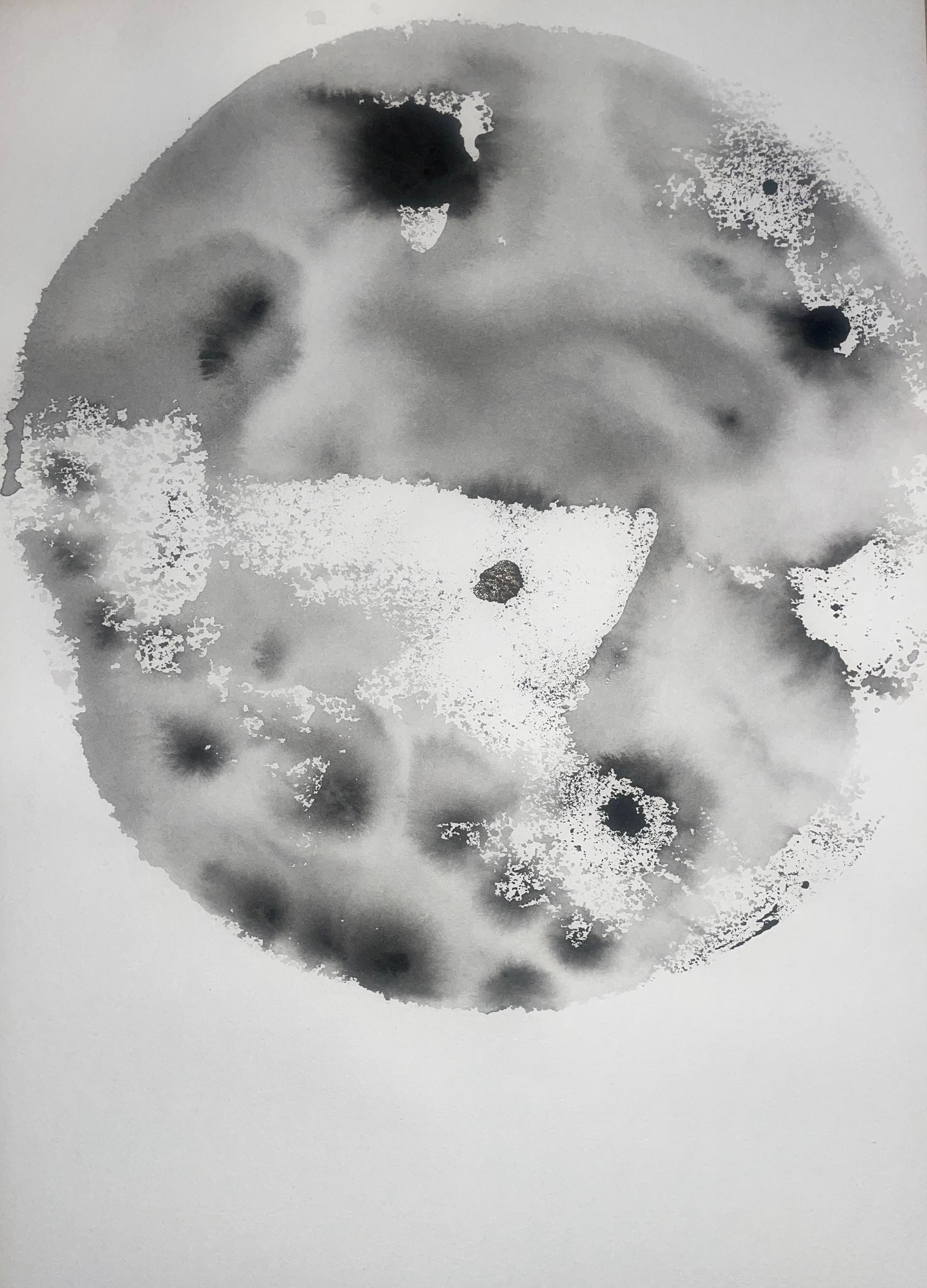 'Natural Form - monochromatic' 