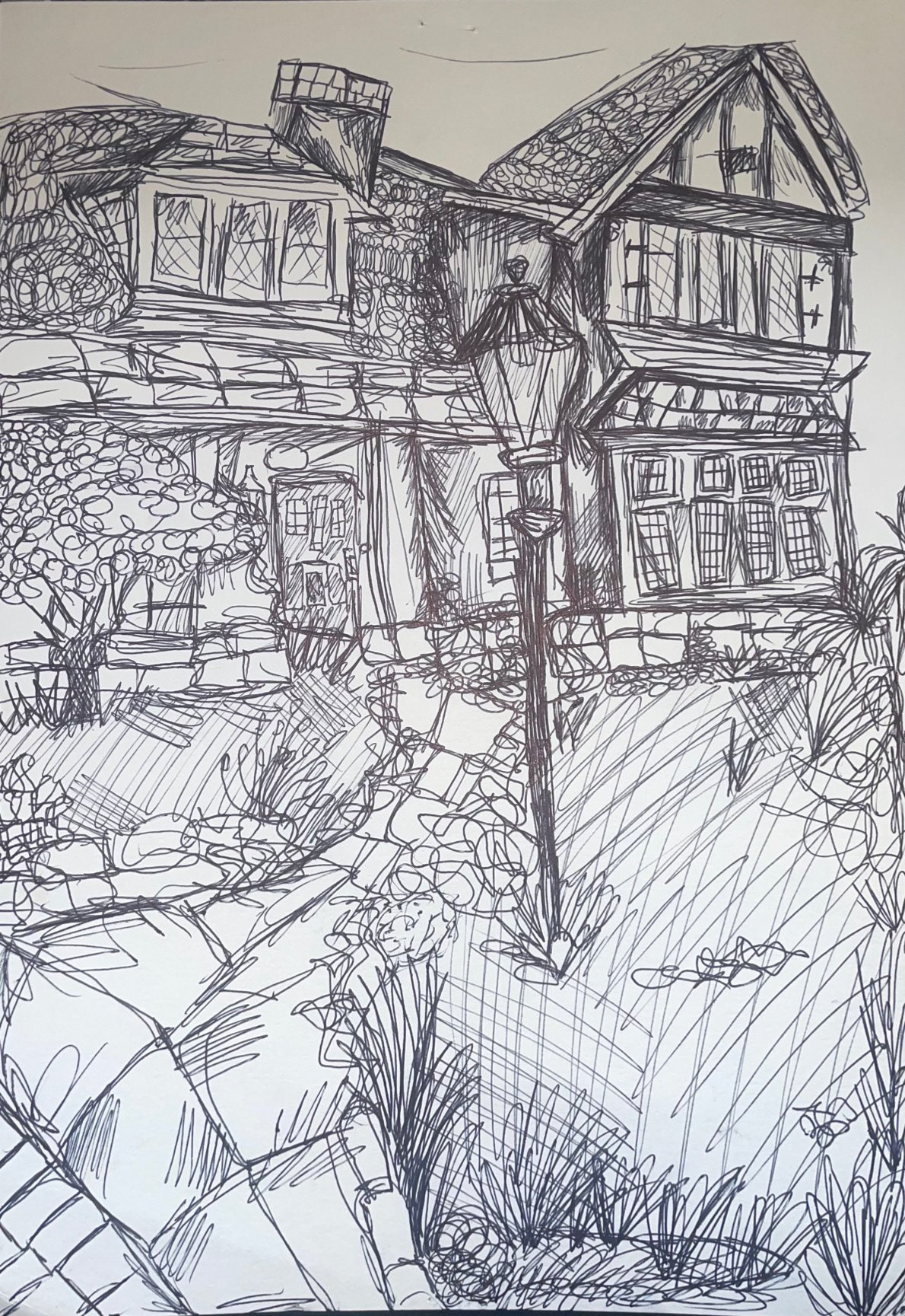 'line drawing house'