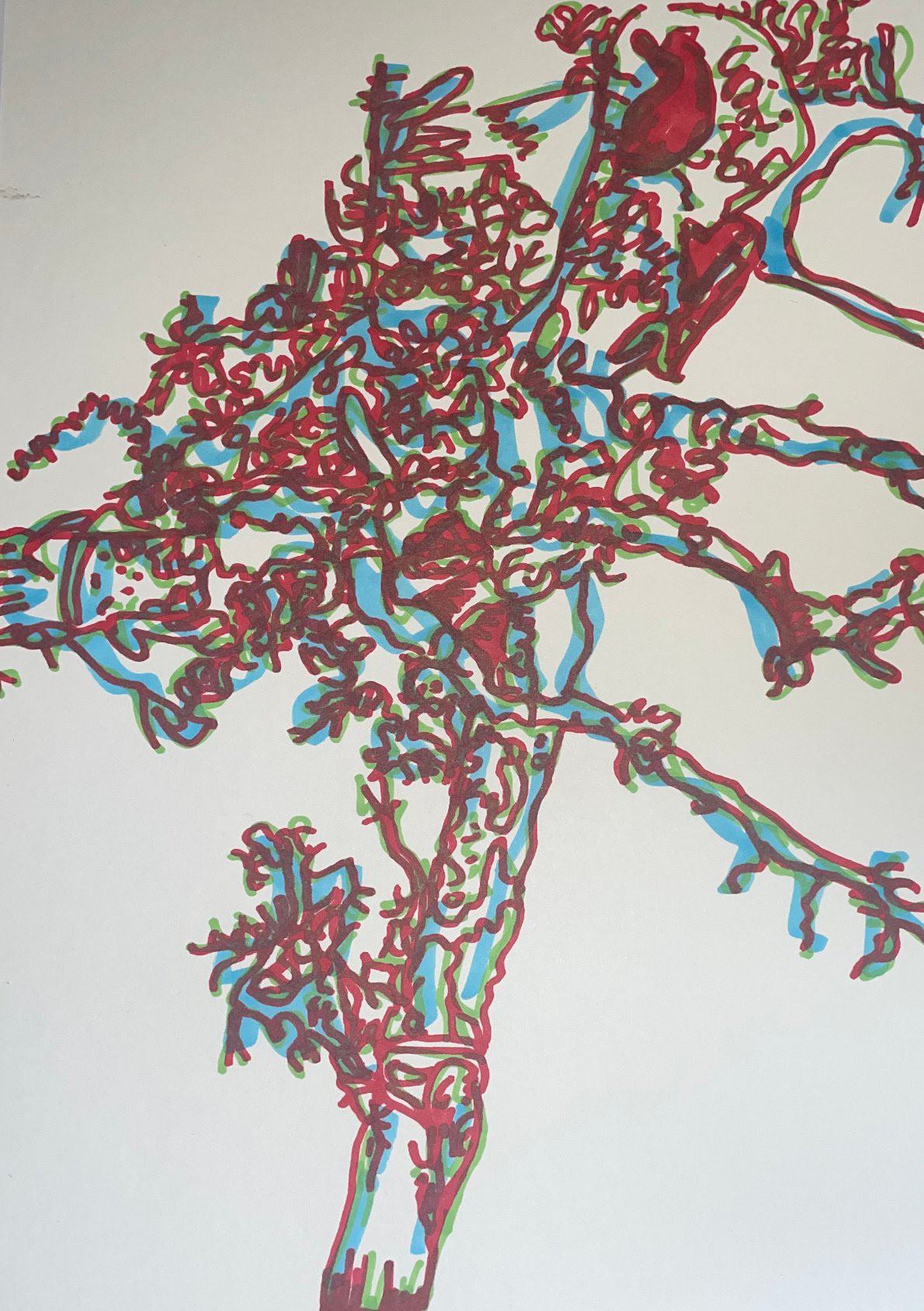 'Bamboo root line drawing'