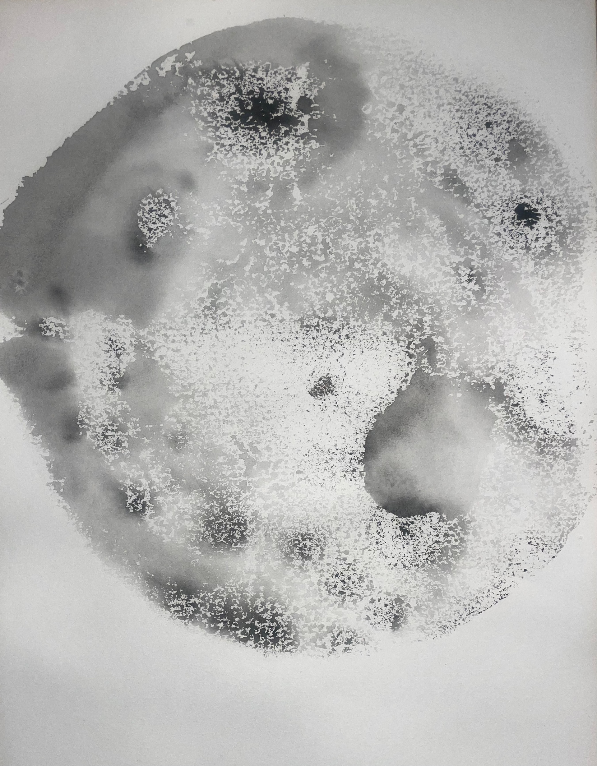 'Natural Form - monochromatic' 