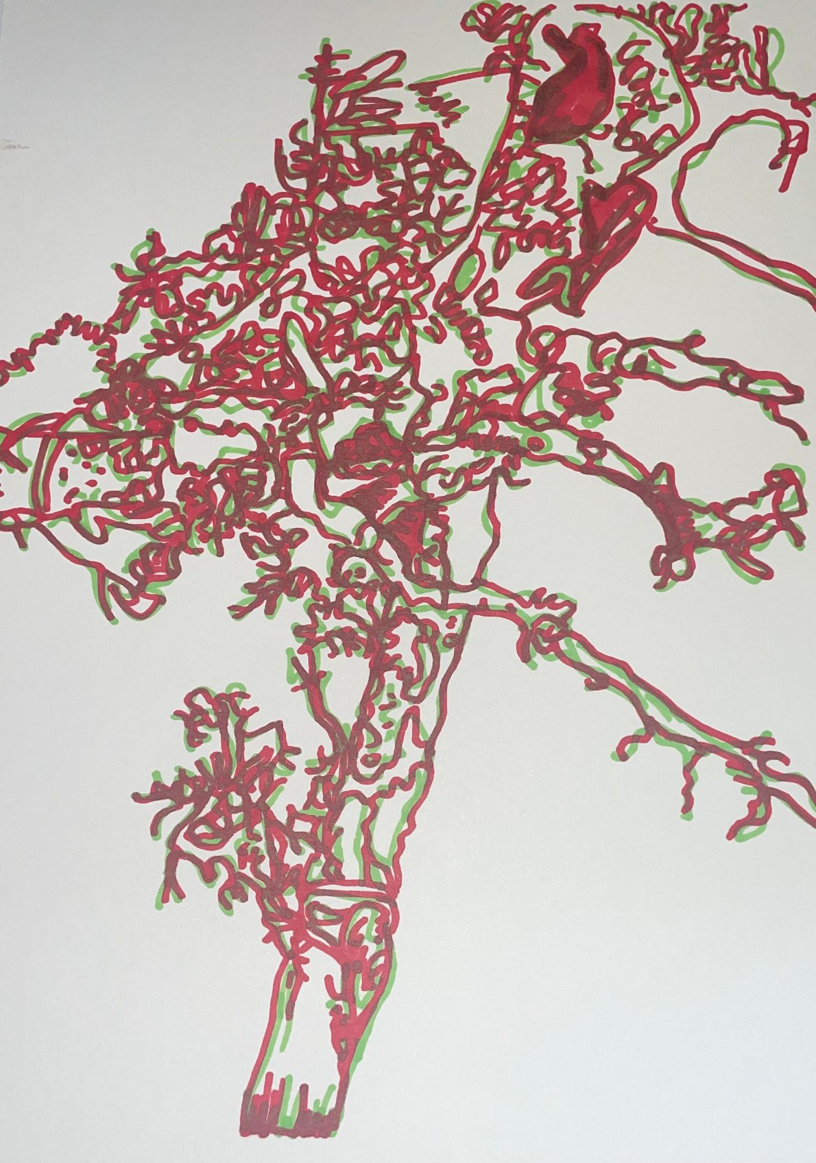 'Bamboo root line drawing'