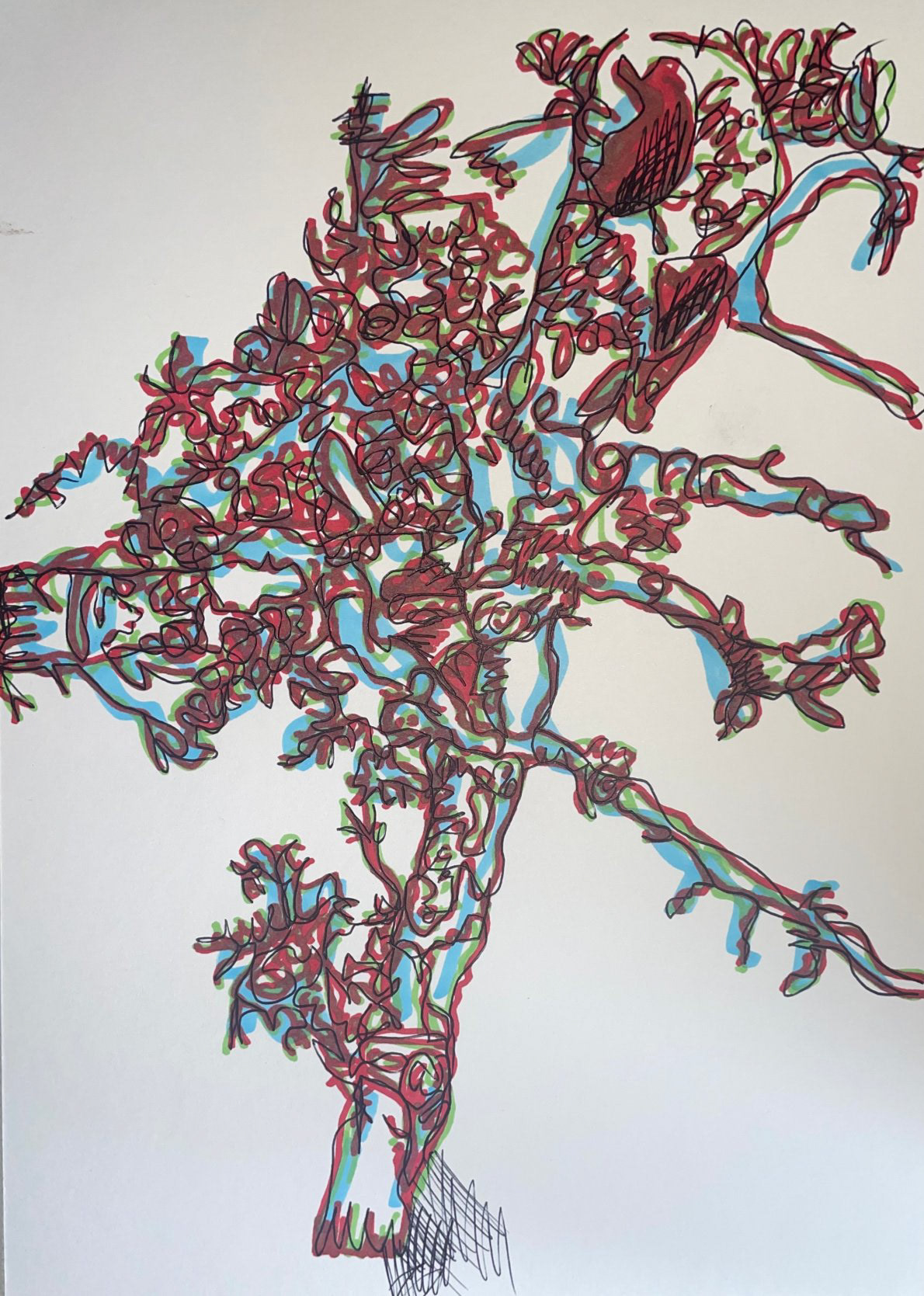 'Bamboo root line drawing'
