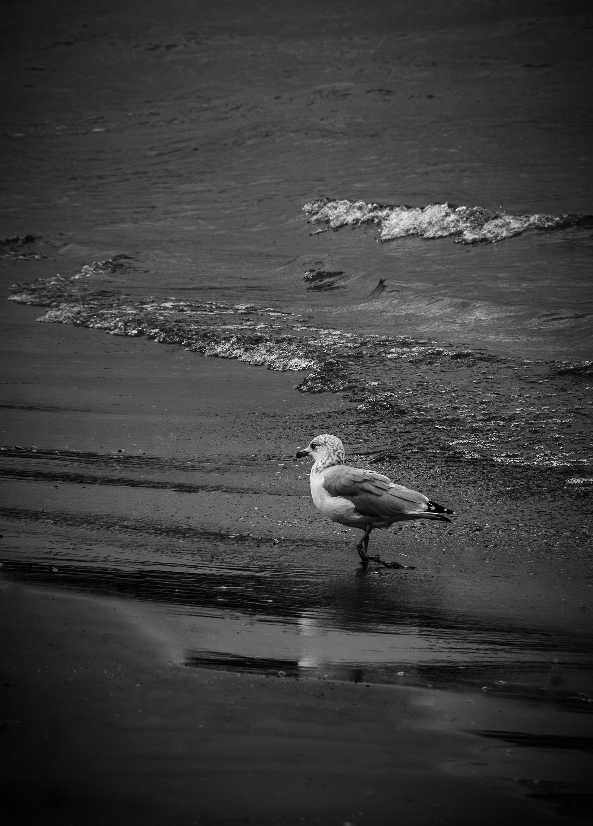 "Between Waves and Silence"