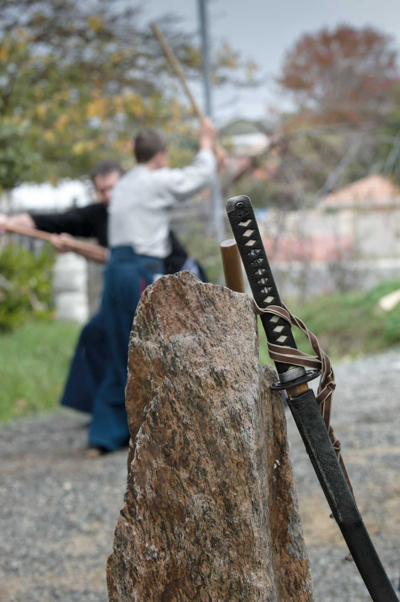 In the back streets of a Fremantle suburb is a Rinzai Zen temple. Converted from a classic 1960's brick and tile house, the Zendo offers meditation, calligraphy, and kobudo. The Kobudo training, particulary in sword, is prominent. Training takes place after a formal Zen meditation session. Students practice on the blue-metal stone training ground.