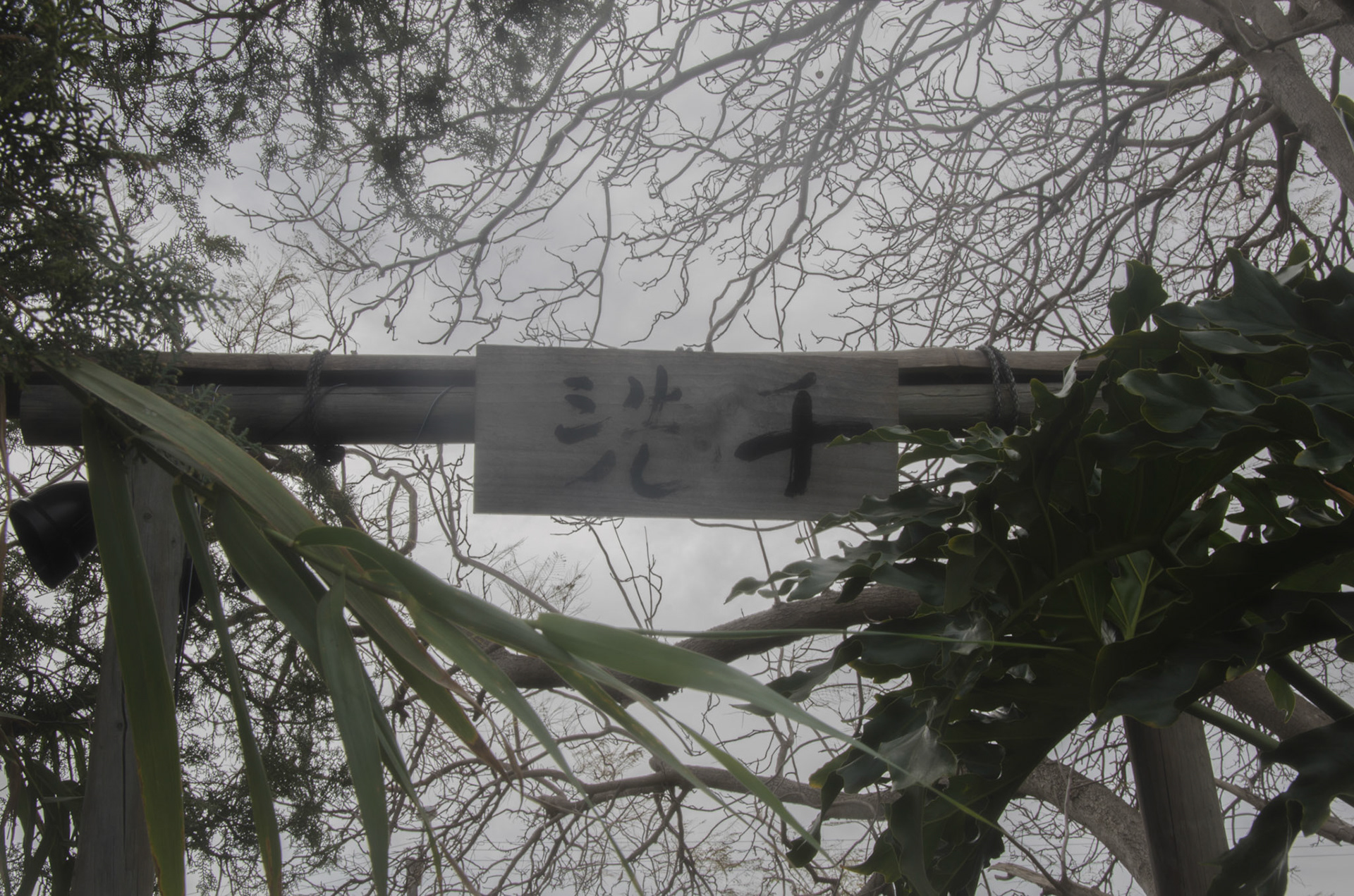 In the back streets of a Fremantle suburb is a Rinzai Zen temple. Converted from a classic 1960's brick and tile house, the Zendo offers meditation, calligraphy, and kobudo.