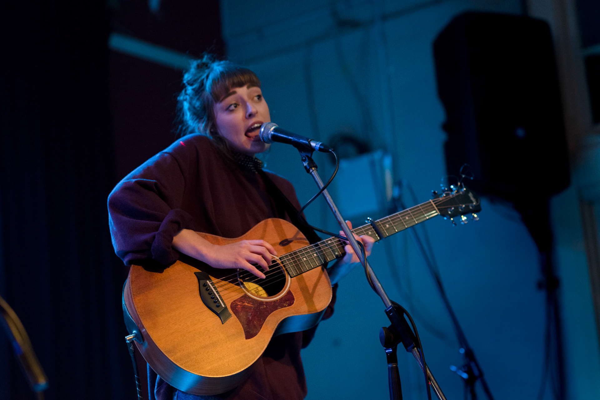 Stelia Donnelly