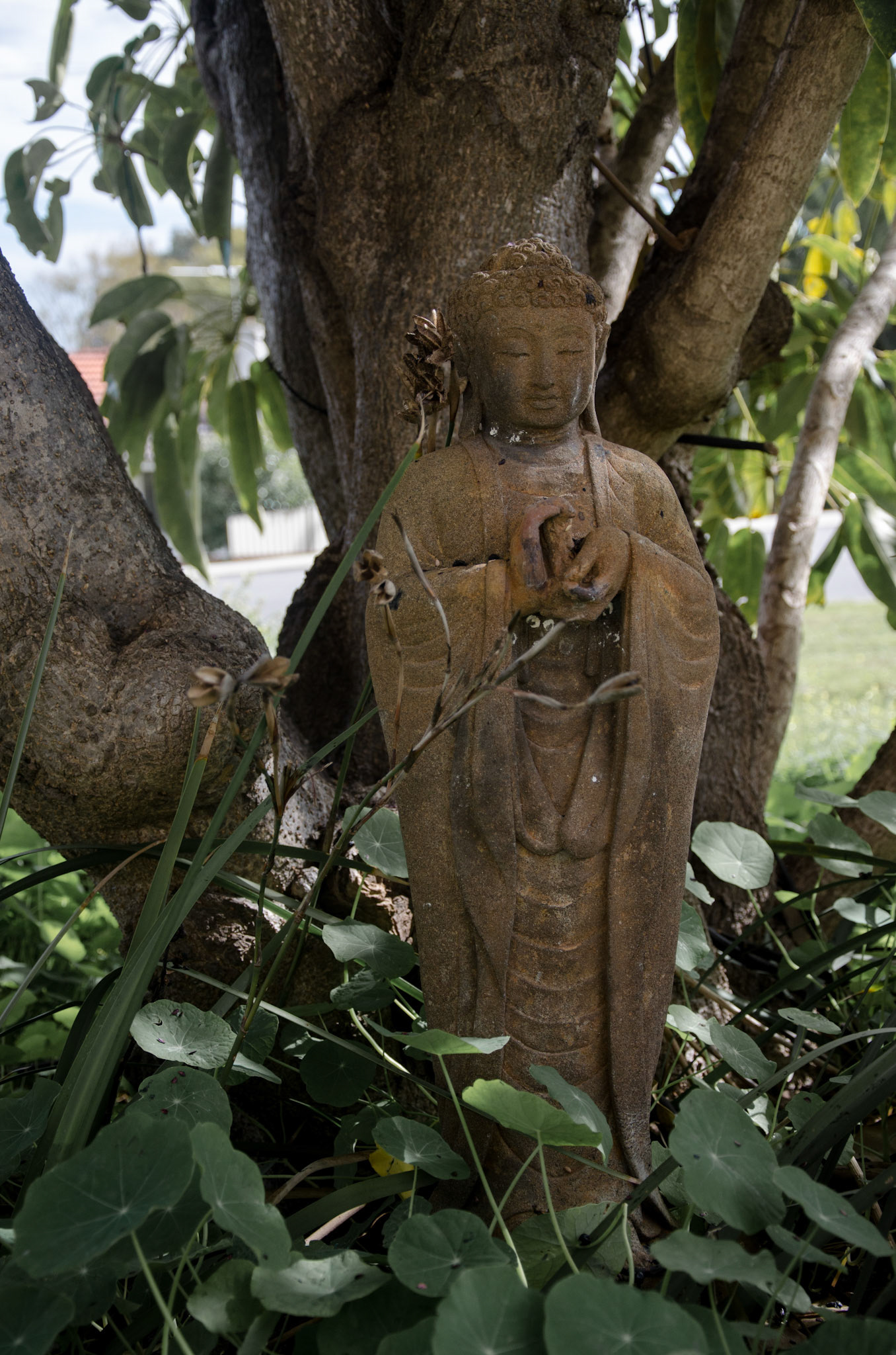 In the back streets of a Fremantle suburb is a Rinzai Zen temple. Converted from a classic 1960's brick and tile house, the Zendo offers meditation, calligraphy, and kobudo.