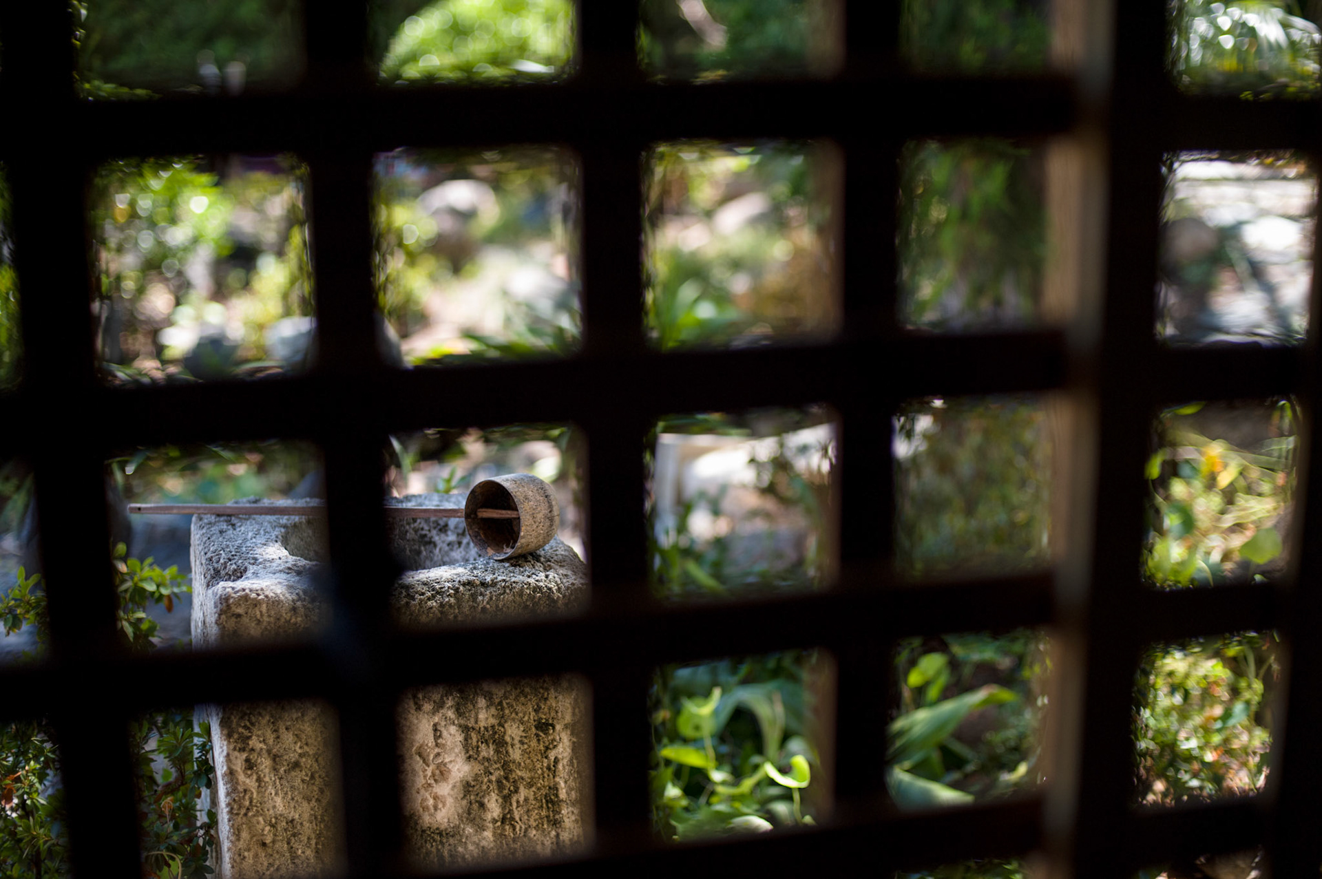 In the back streets of a Fremantle suburb is a Rinzai Zen temple. Converted from a classic 1960's brick and tile house, the Zendo offers meditation, calligraphy, and kobudo. The temple is cool and dark inside, looking onto the garden.