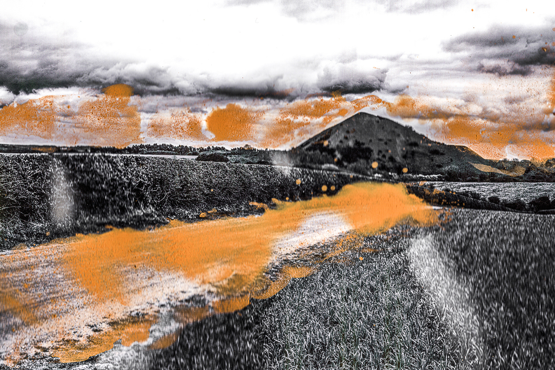 Kilton Pit Shale Heap