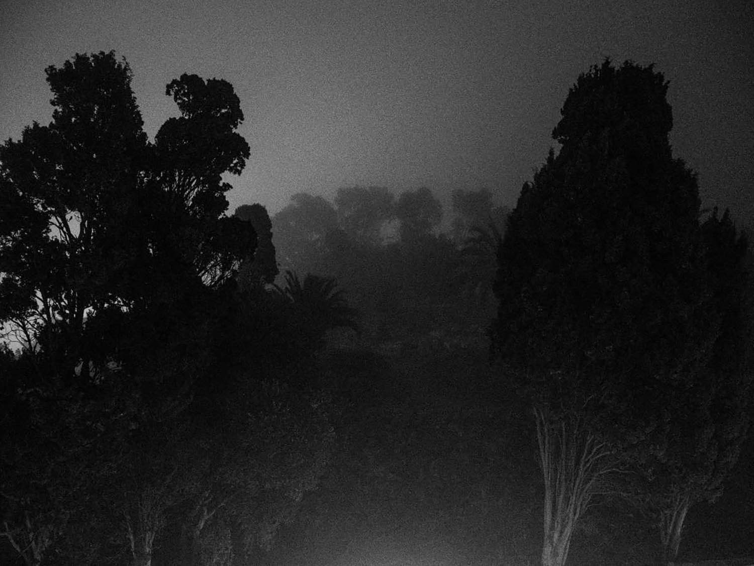 Cimetière juif, brume d'hiver, 2020