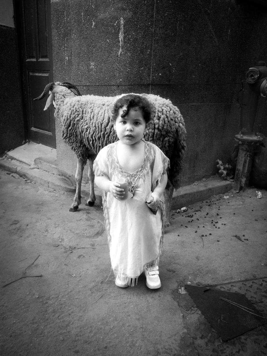 Aïd el Adha, Bni Idder, 2021