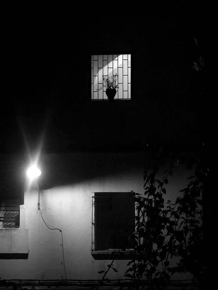 En face, villa Zahia, 2018