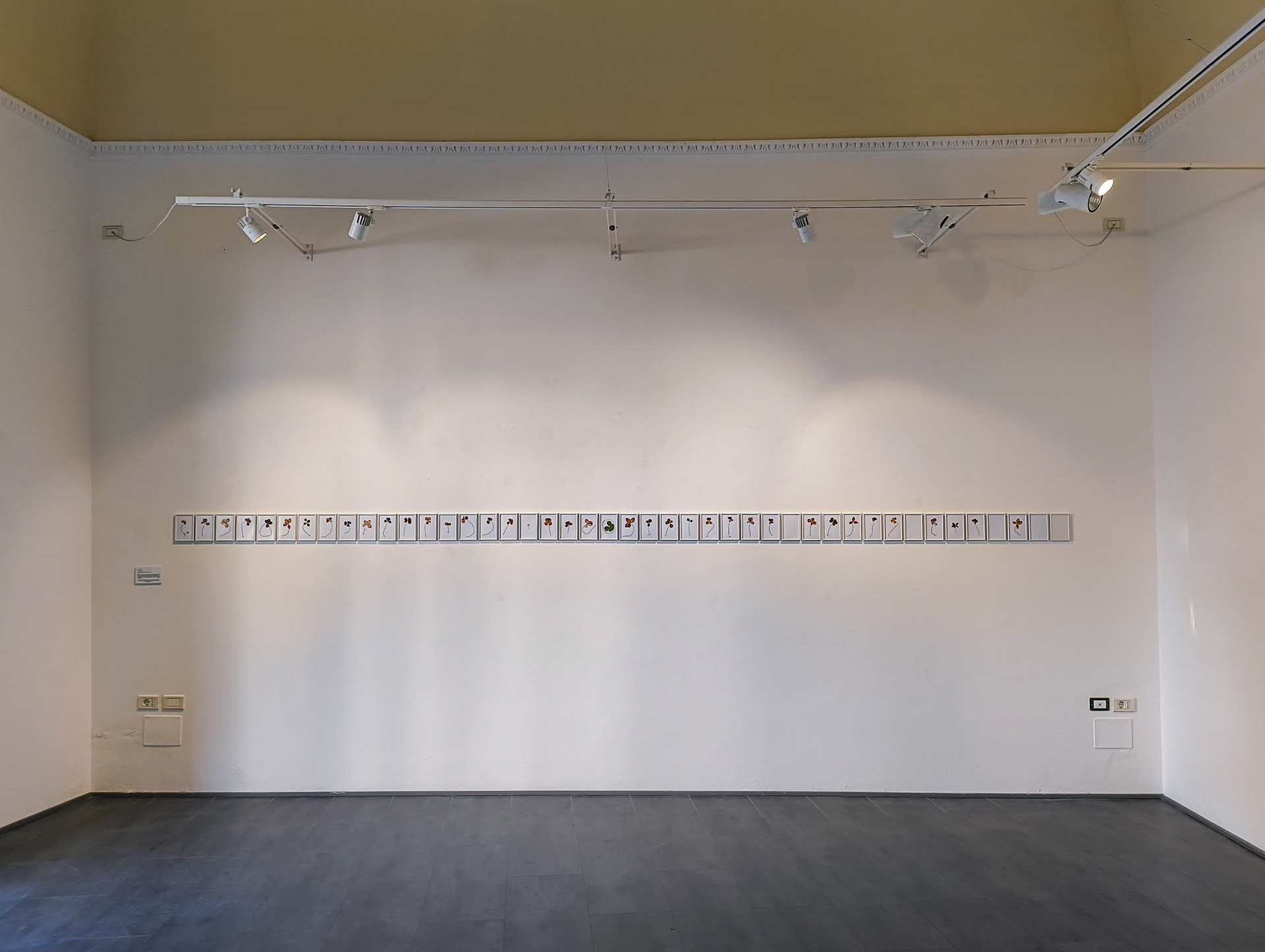 Esposizione collettiva "Estetica del Trauma",  2025, GABA.MC Macerata