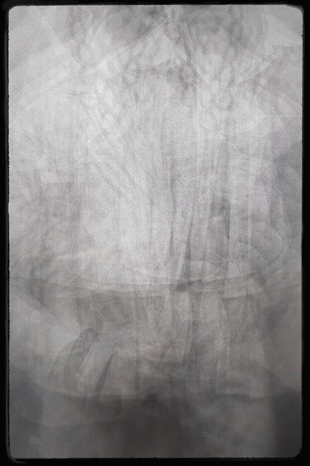 White Dress Shirt