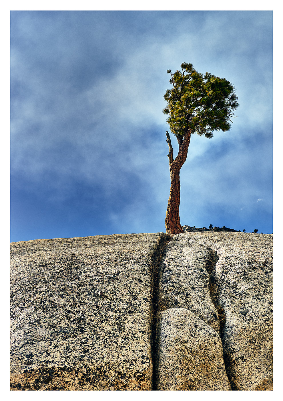Held By Stone