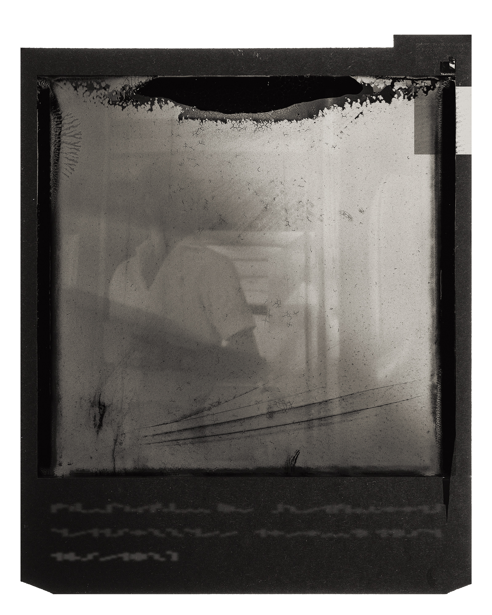 Dad's Orange Swimmers