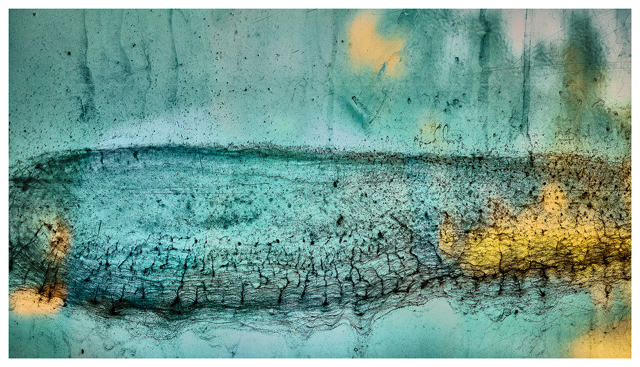 Street Reflections No. 7 (2023) by Stephen Lambeth.
