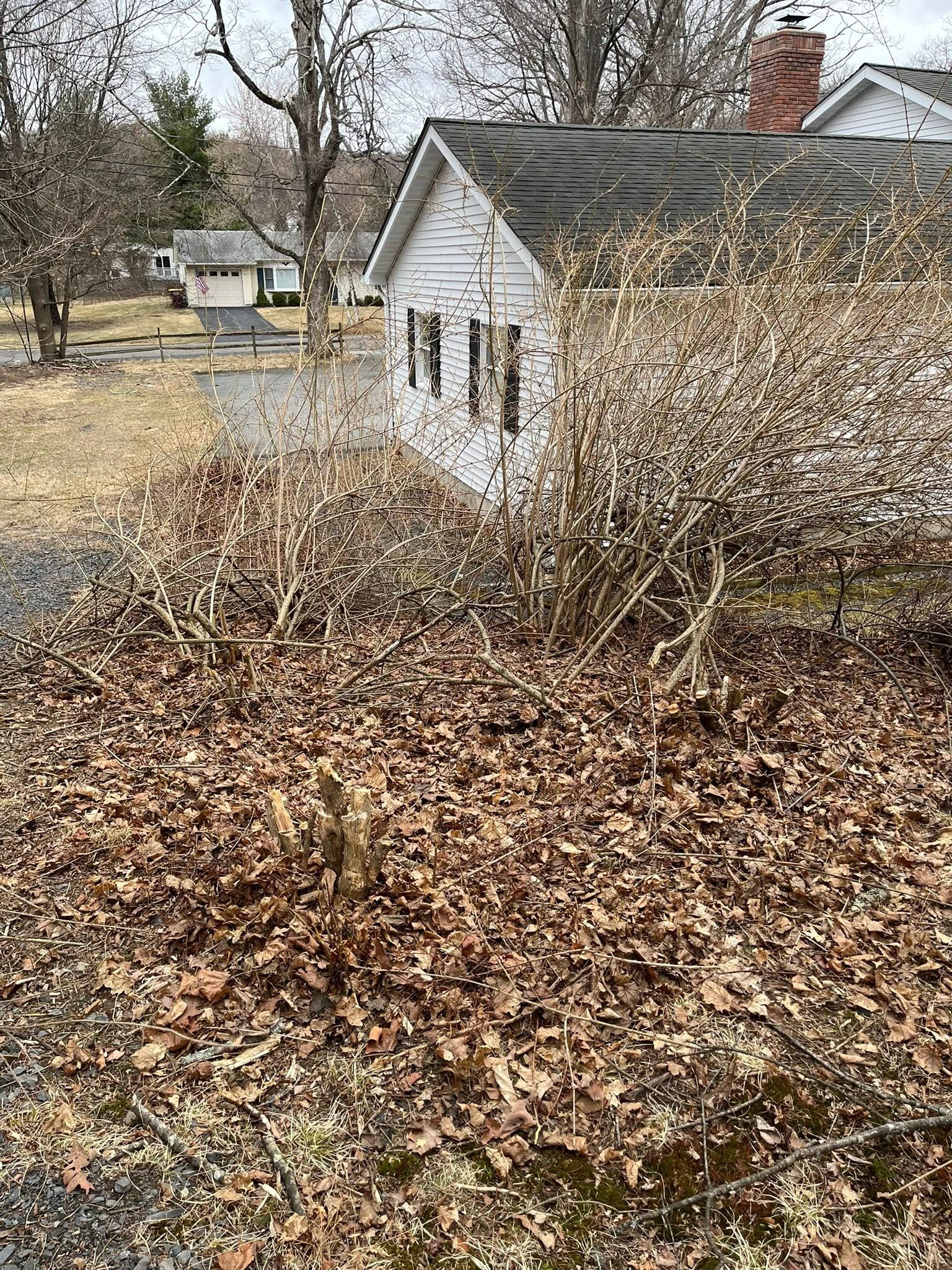 Garden Before