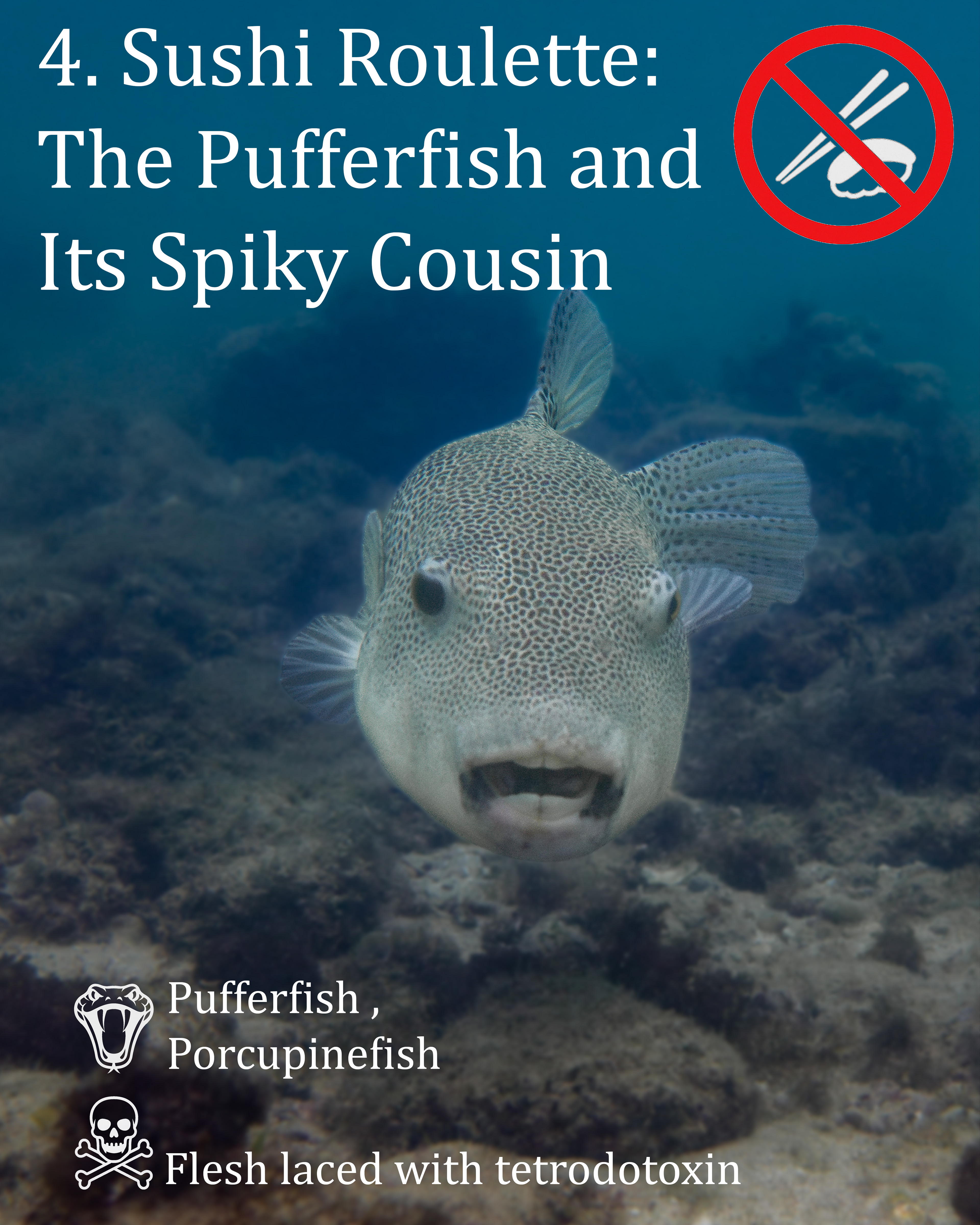 Pufferfish