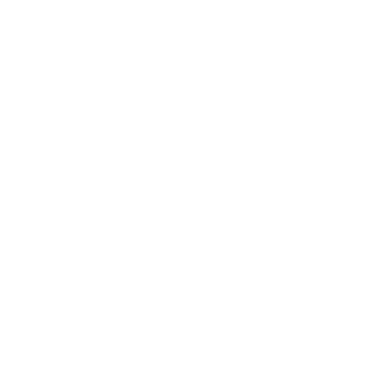 Trish Treacy