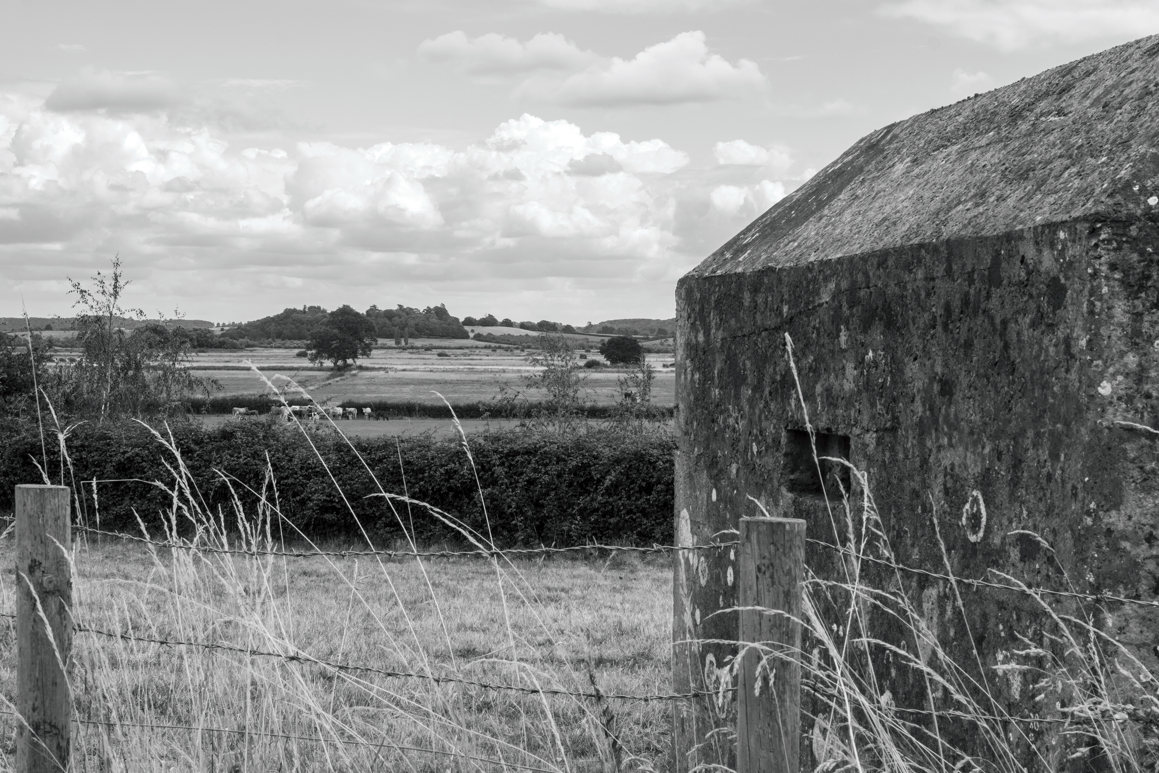 Taunton-Bridgwater Canal