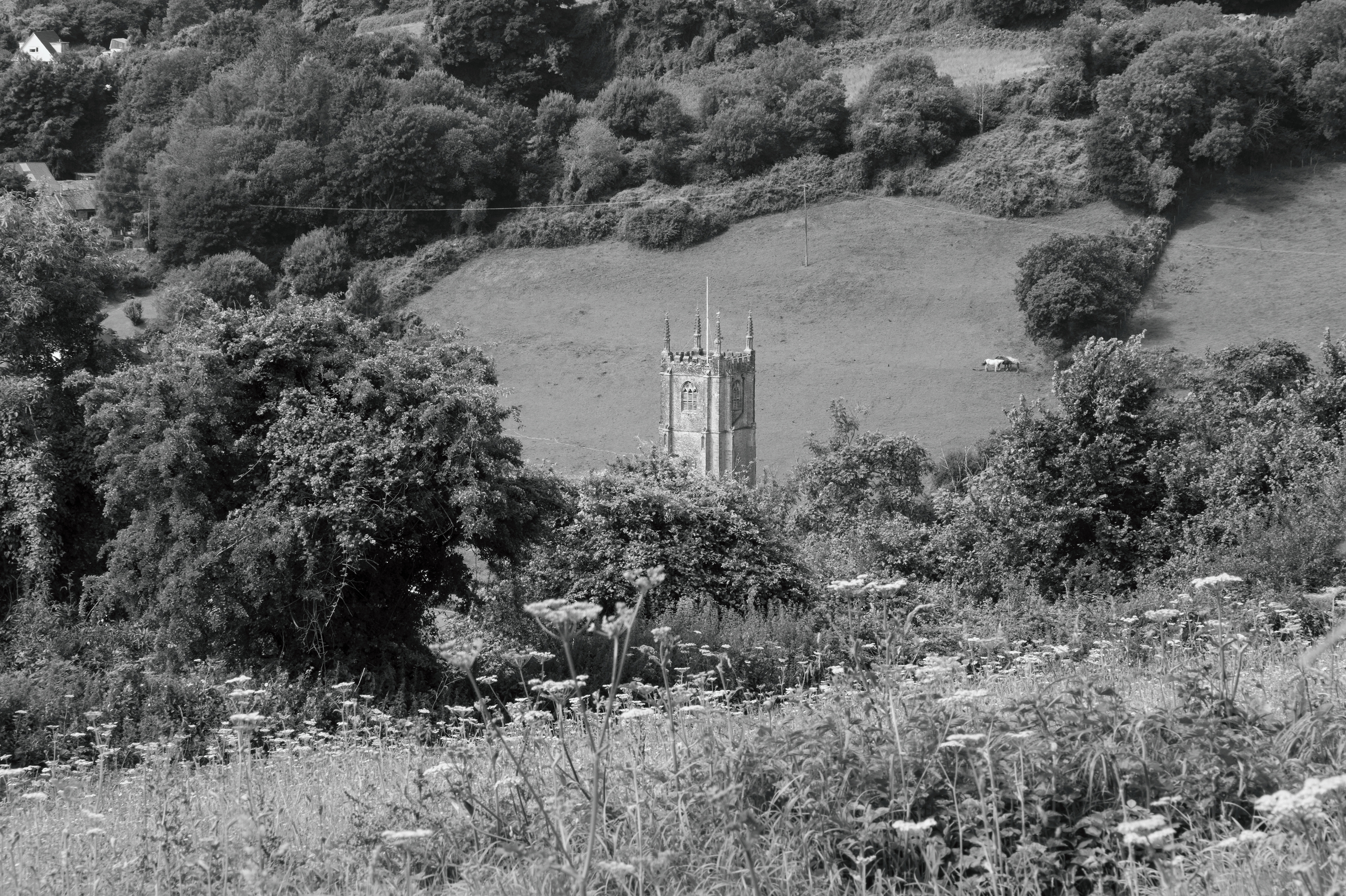 Combe Martin, Devon