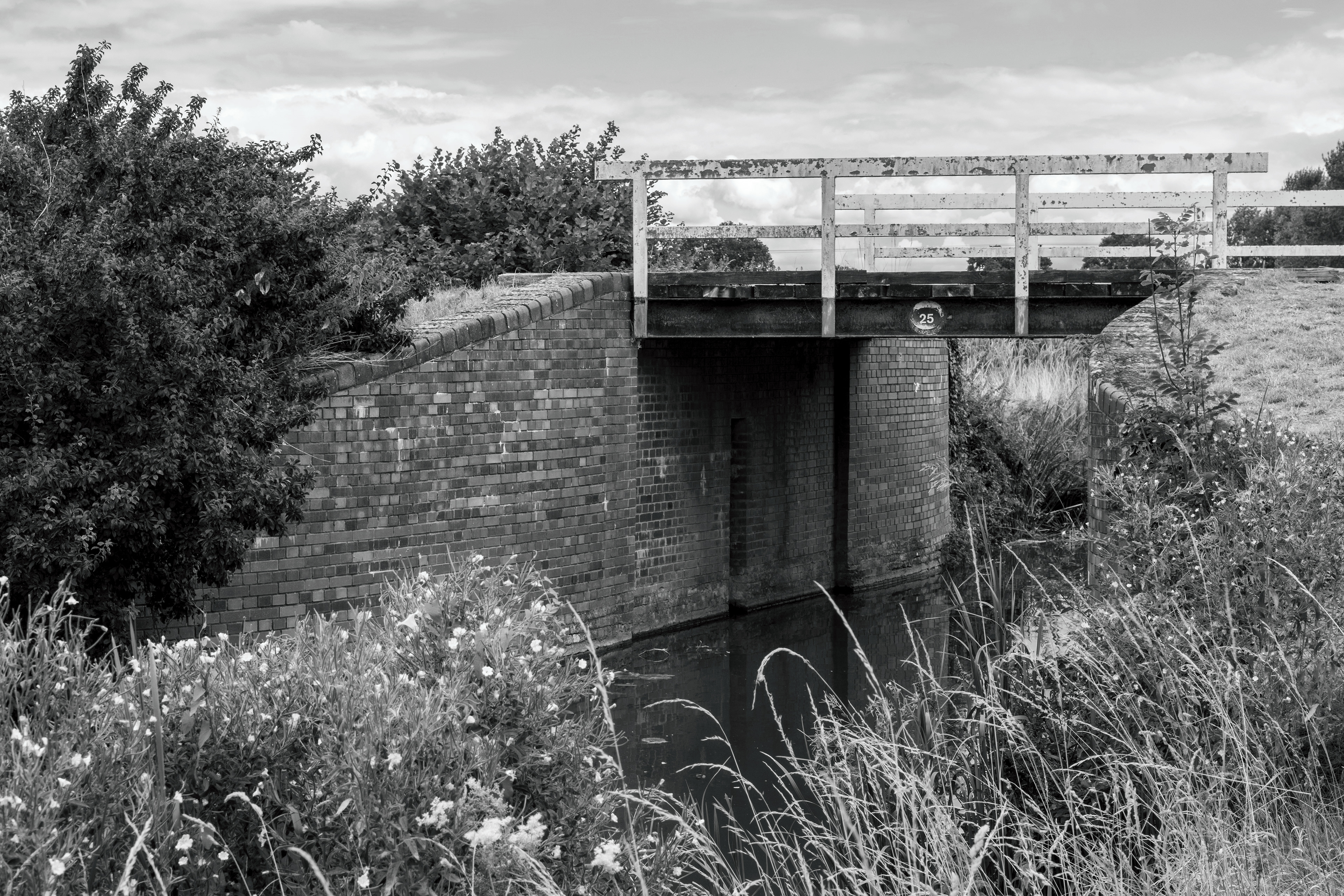 Taunton-Bridgwater Canal