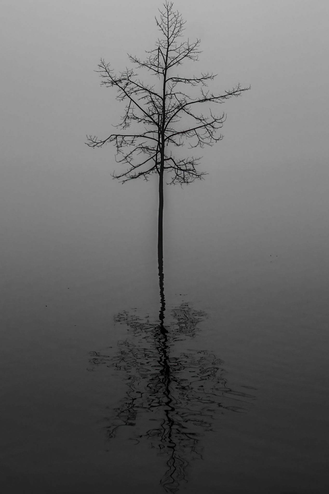 Schierstein, Germany