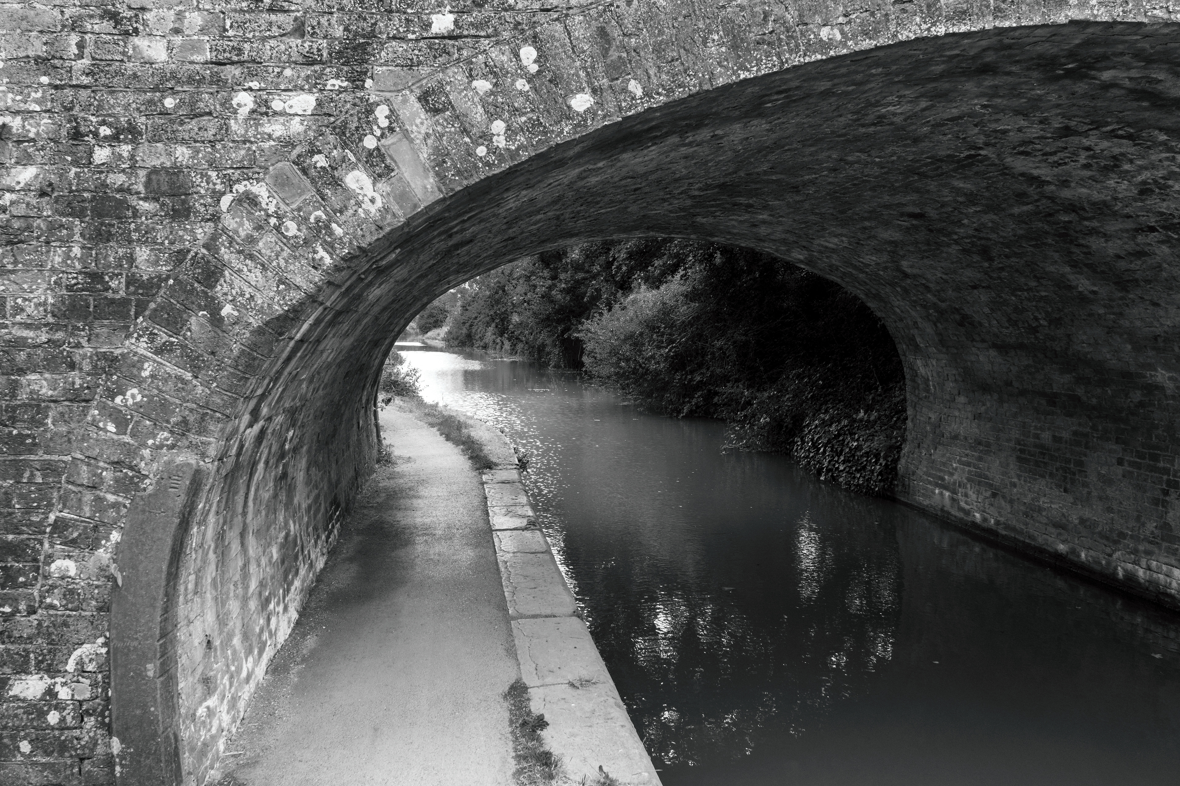 Taunton-Bridgwater Canal