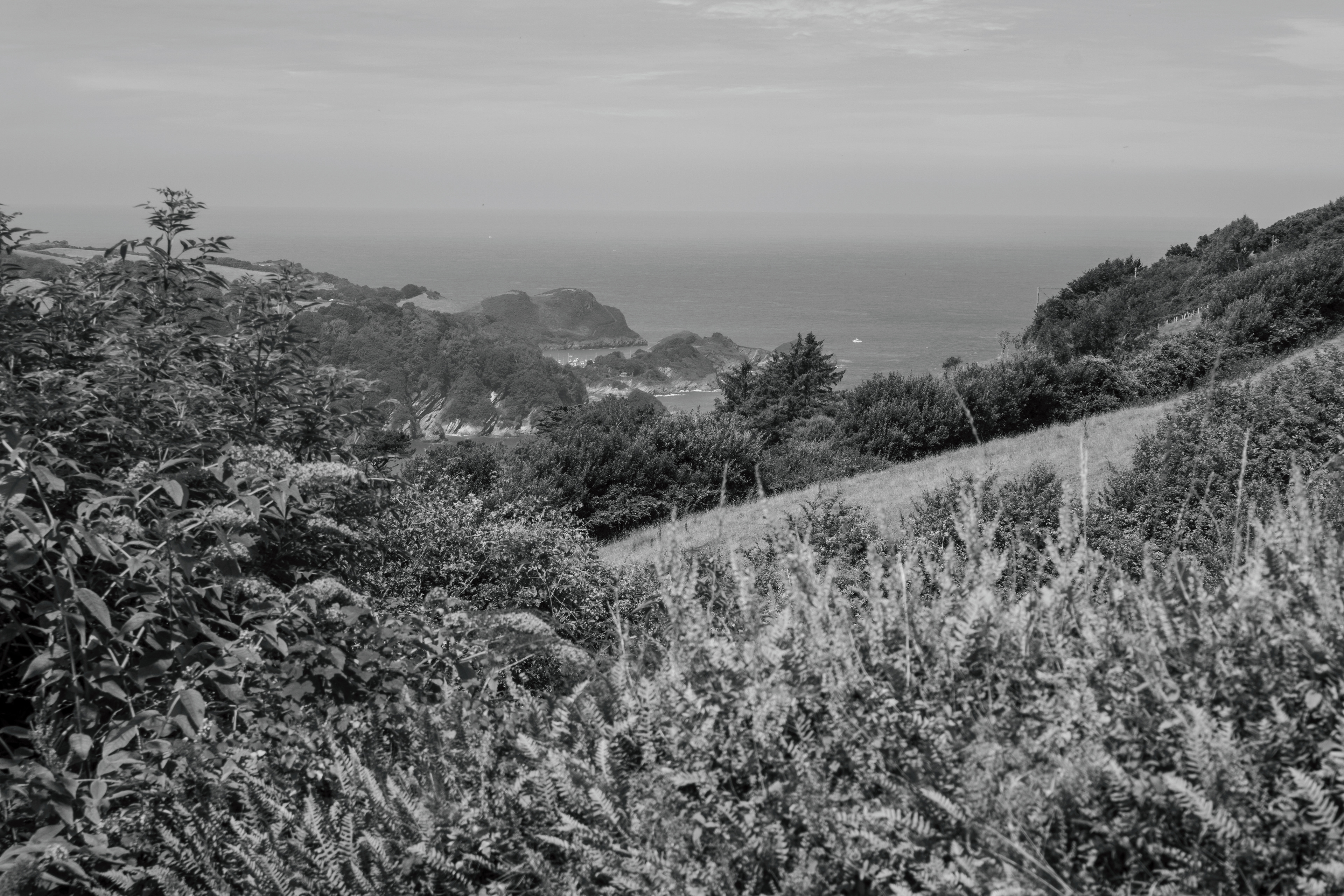 Combe Martin, Devon