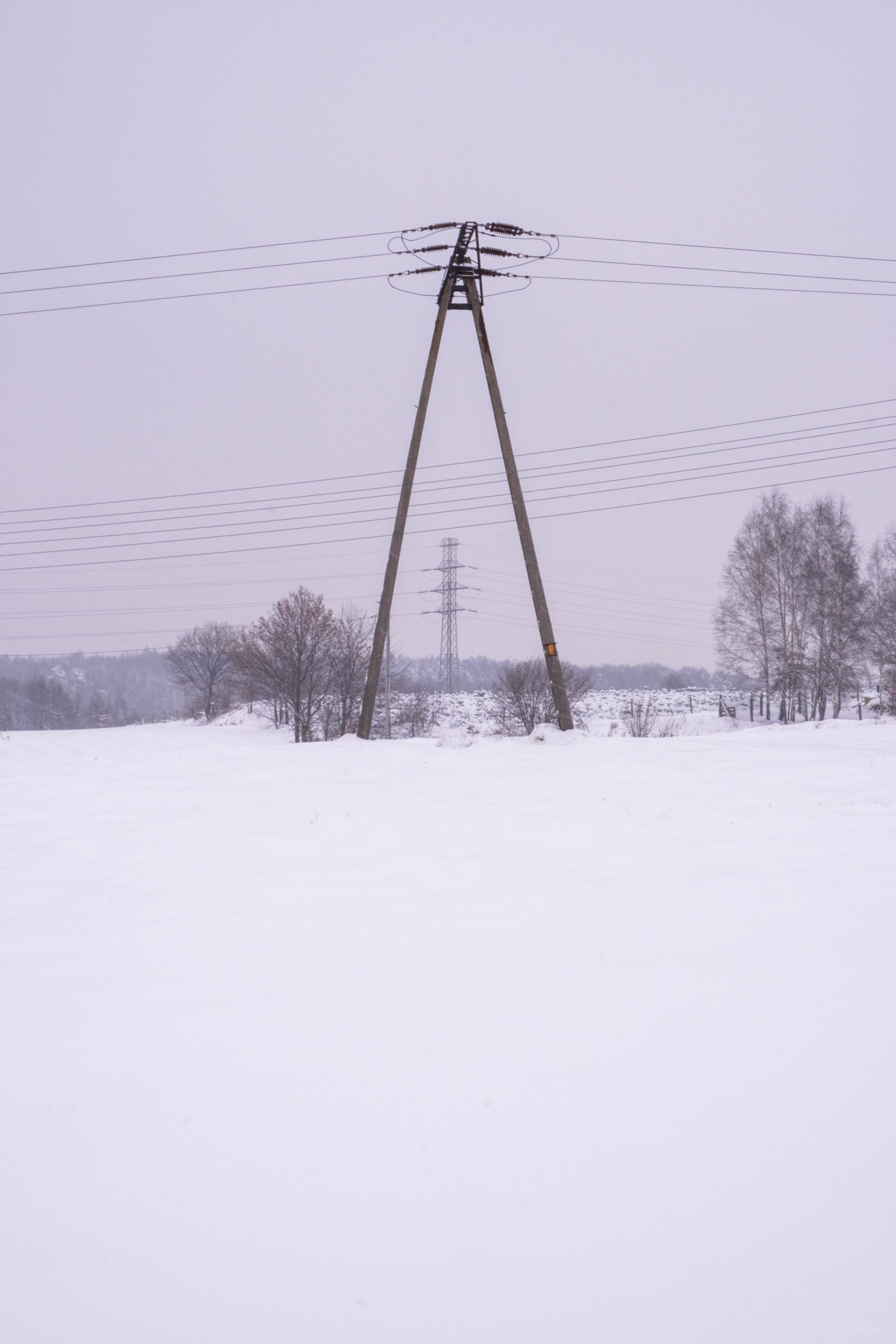 Brzezie, Poland
