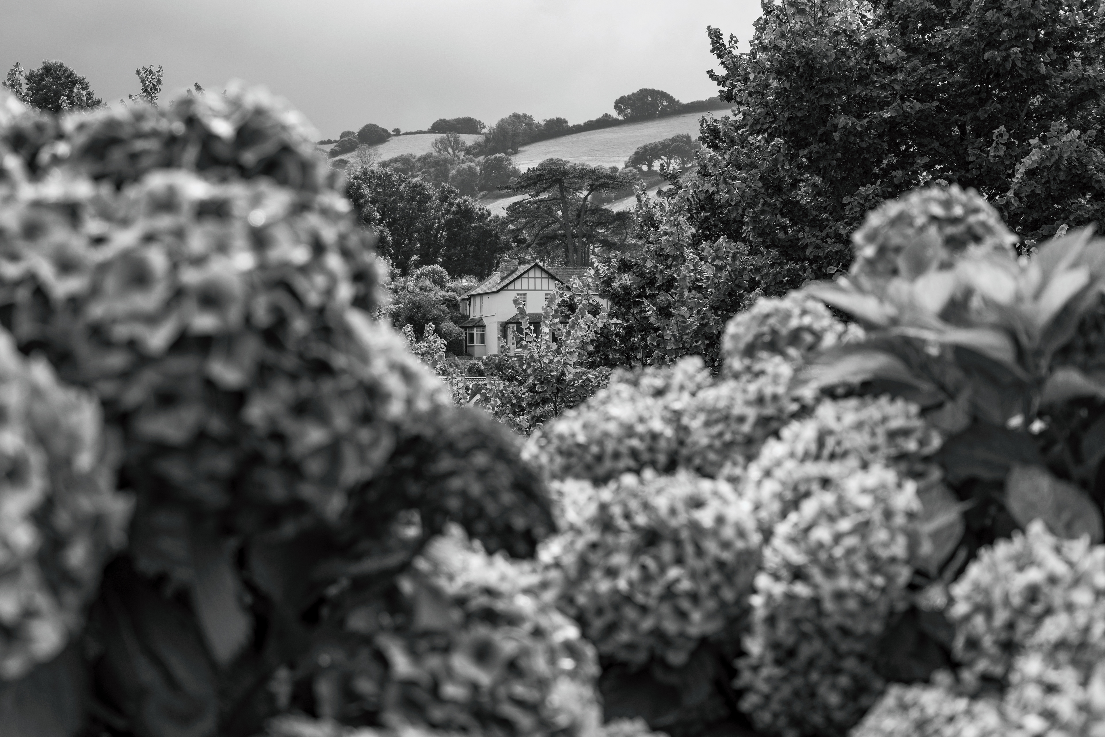 Combe Martin, Devon