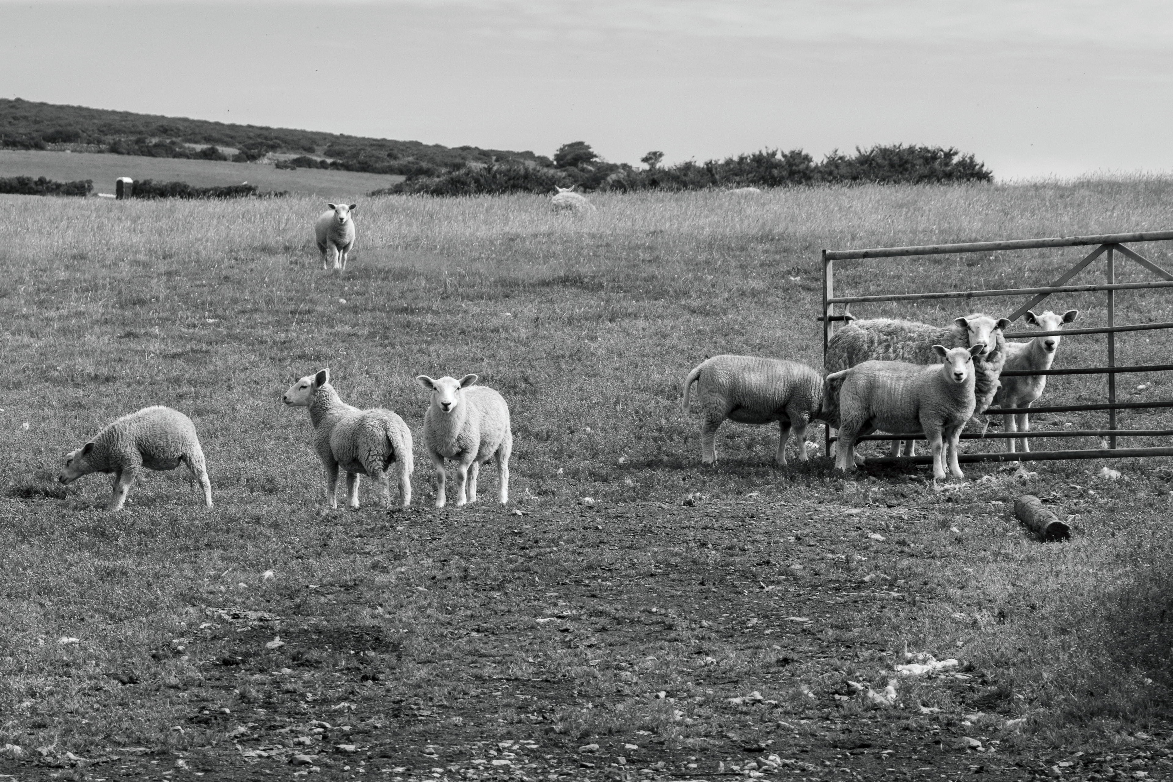 Combe Martin, Devon