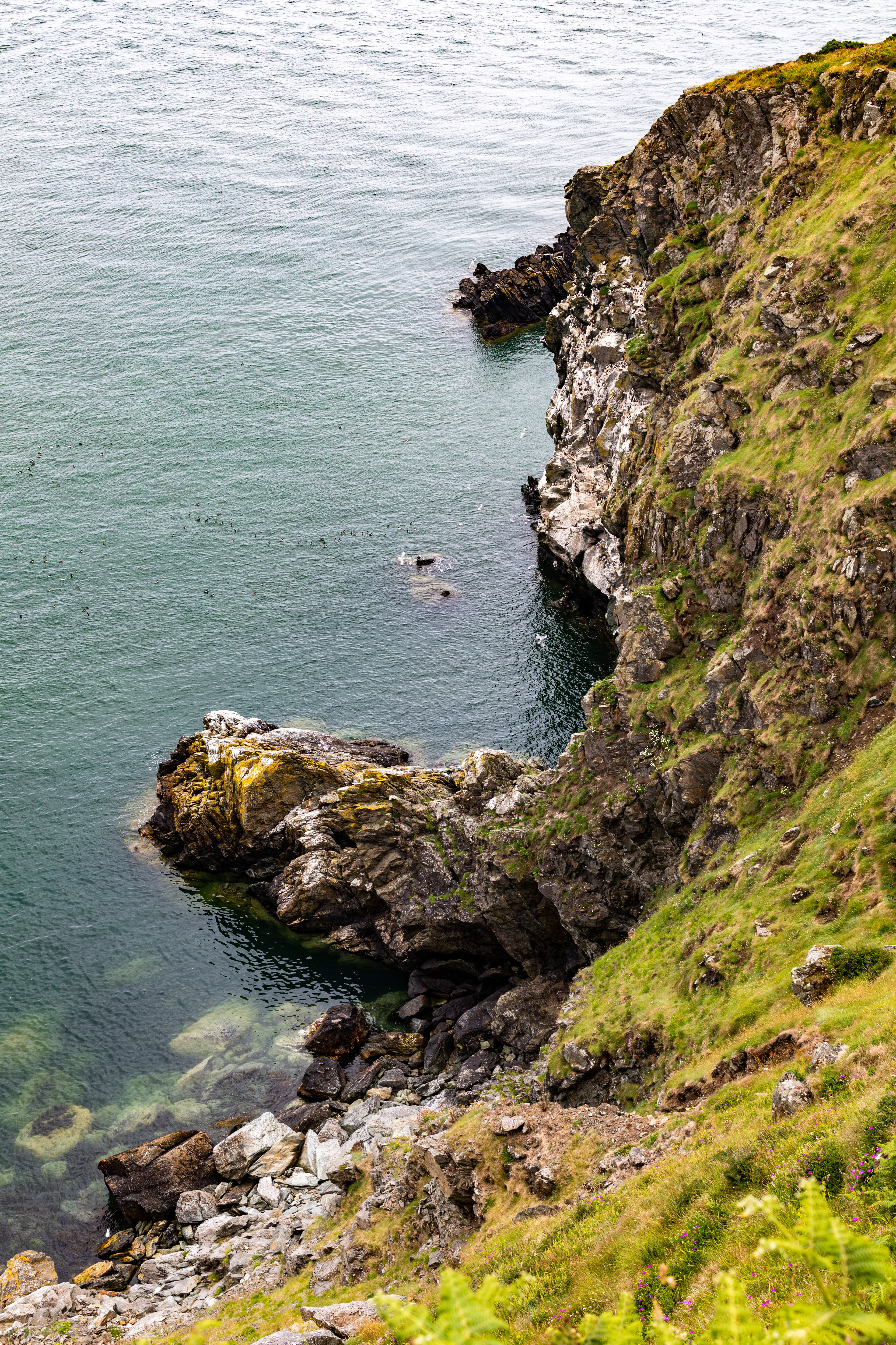 Howth, Ireland ›› 2019