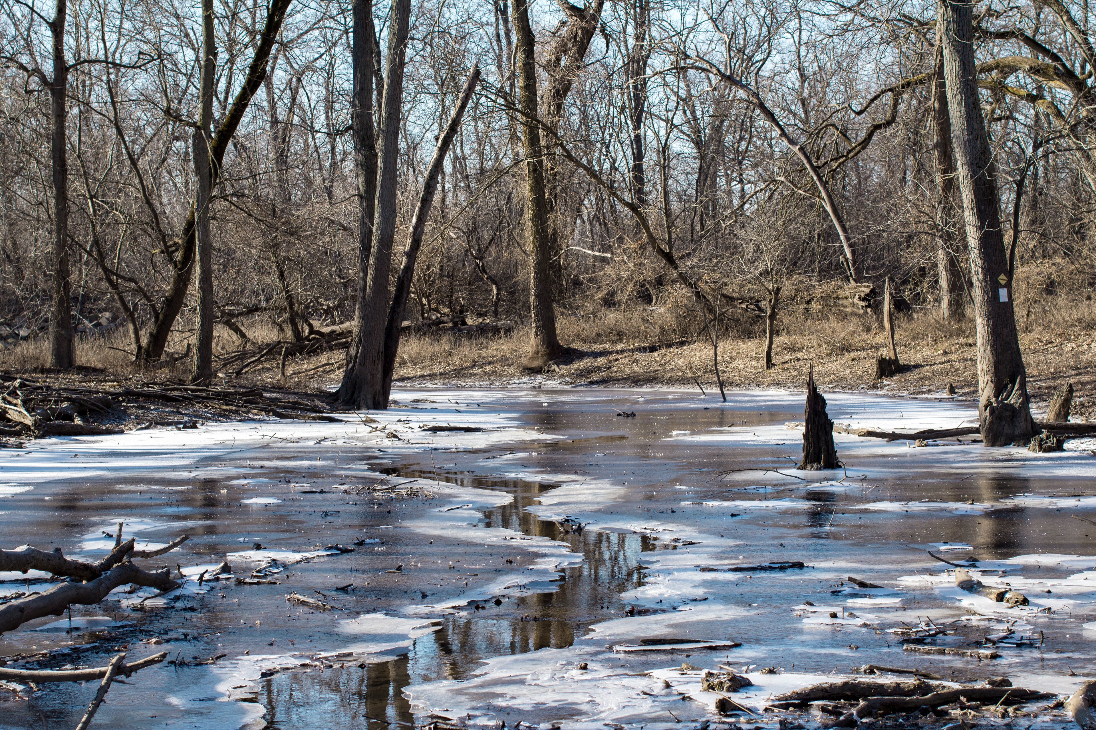 Des Plaines, IL ›› 2017