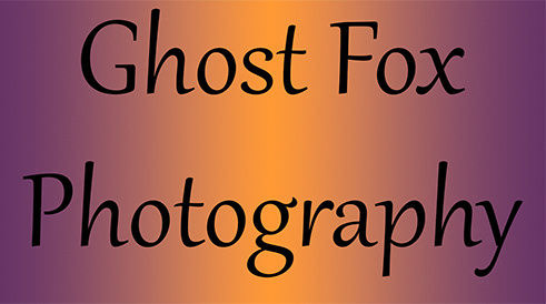 Ghost Fox Photography