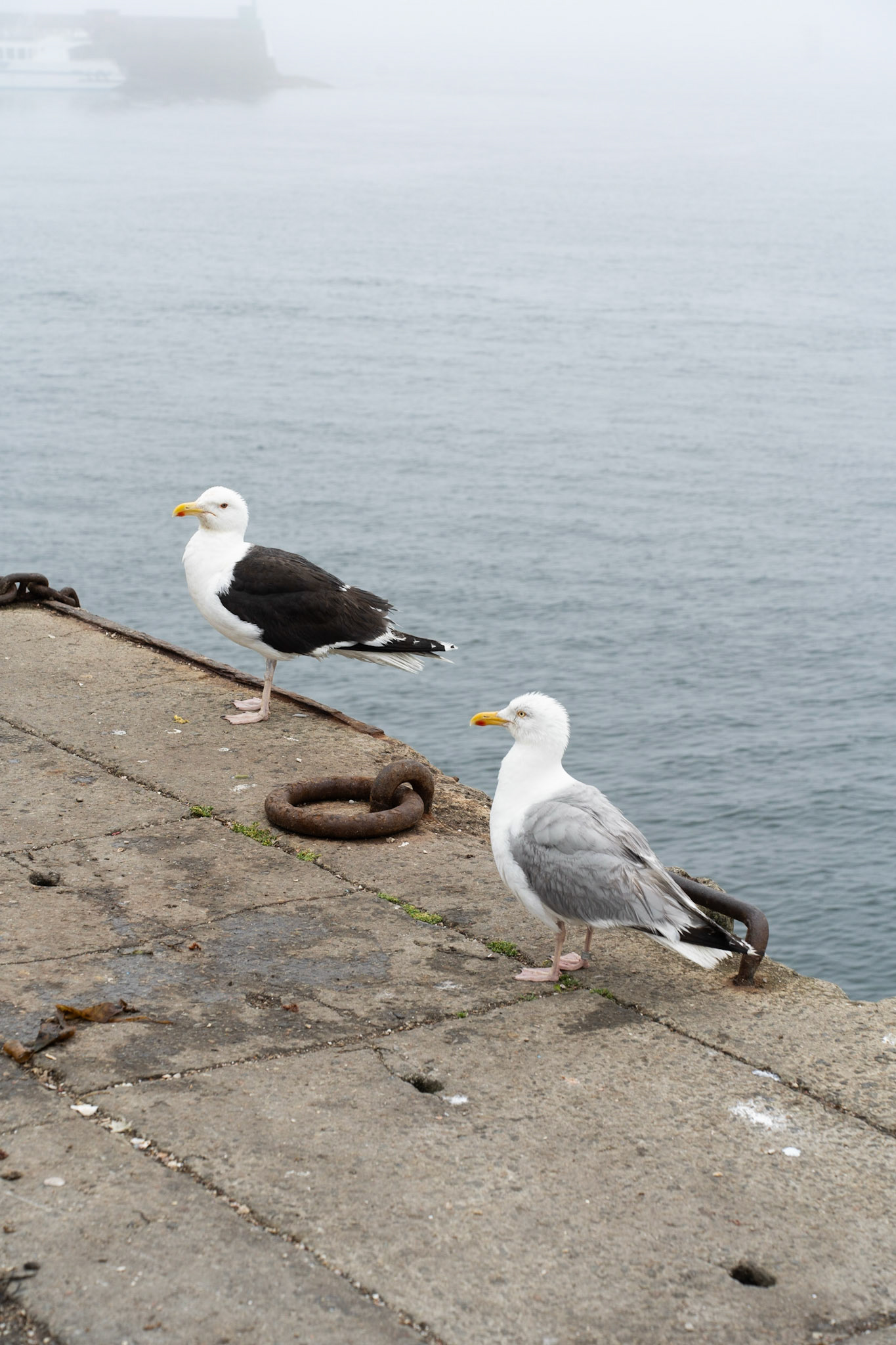 OCEAN - Le Conquet - 07