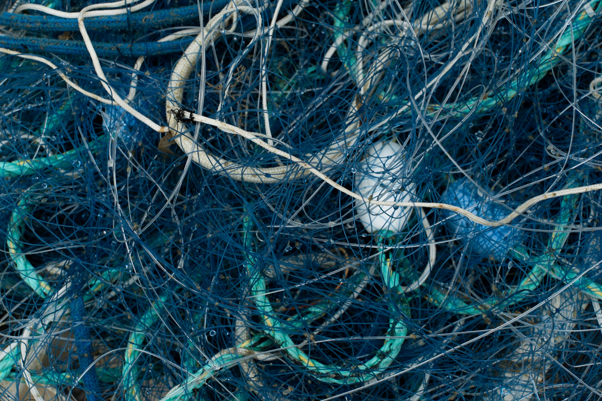 TEXTURE - LE CONQUET - 04