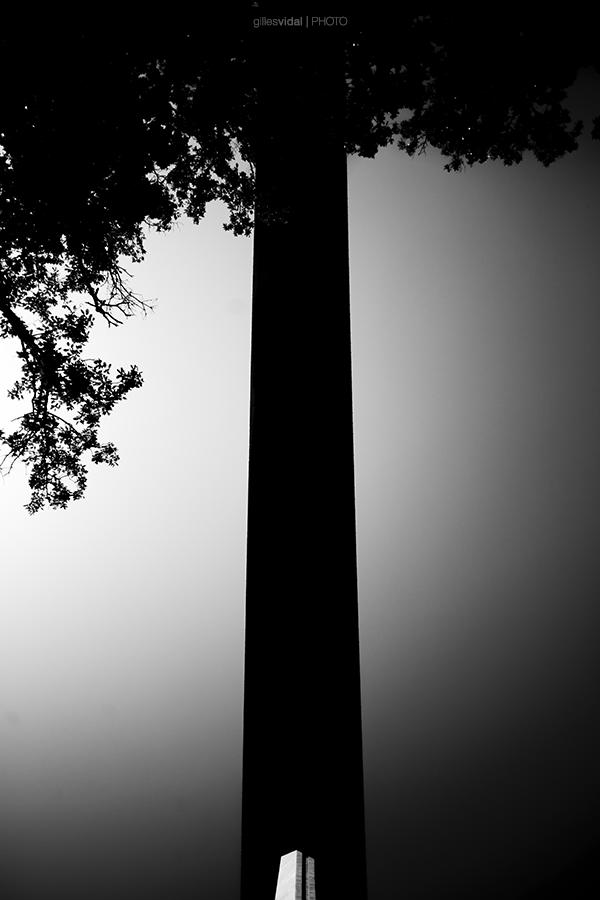 Street Photography - Gilles Vidal