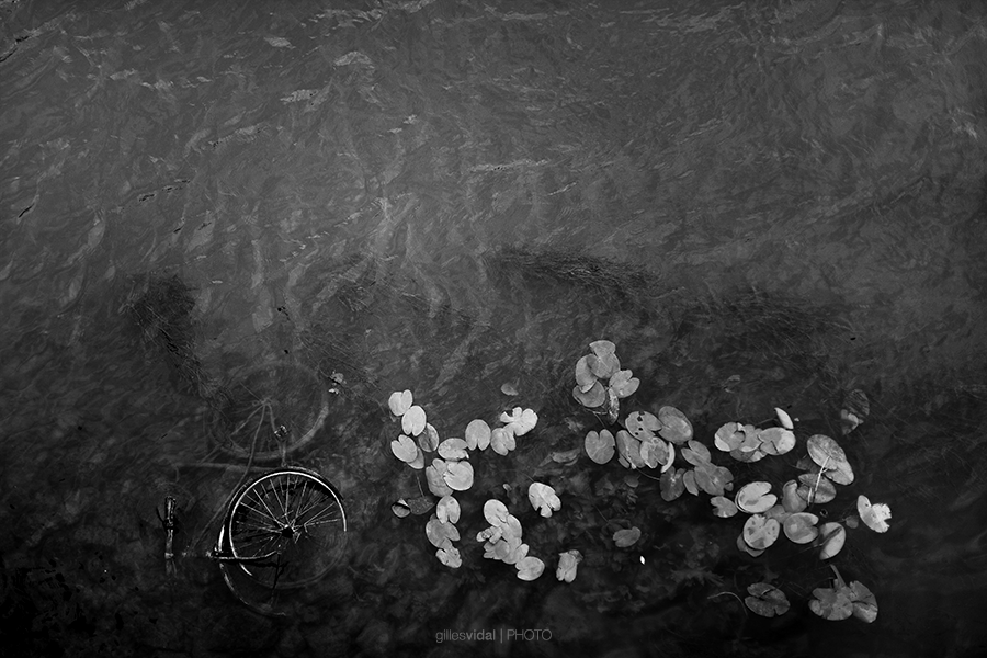 Street Photography - Gilles Vidal